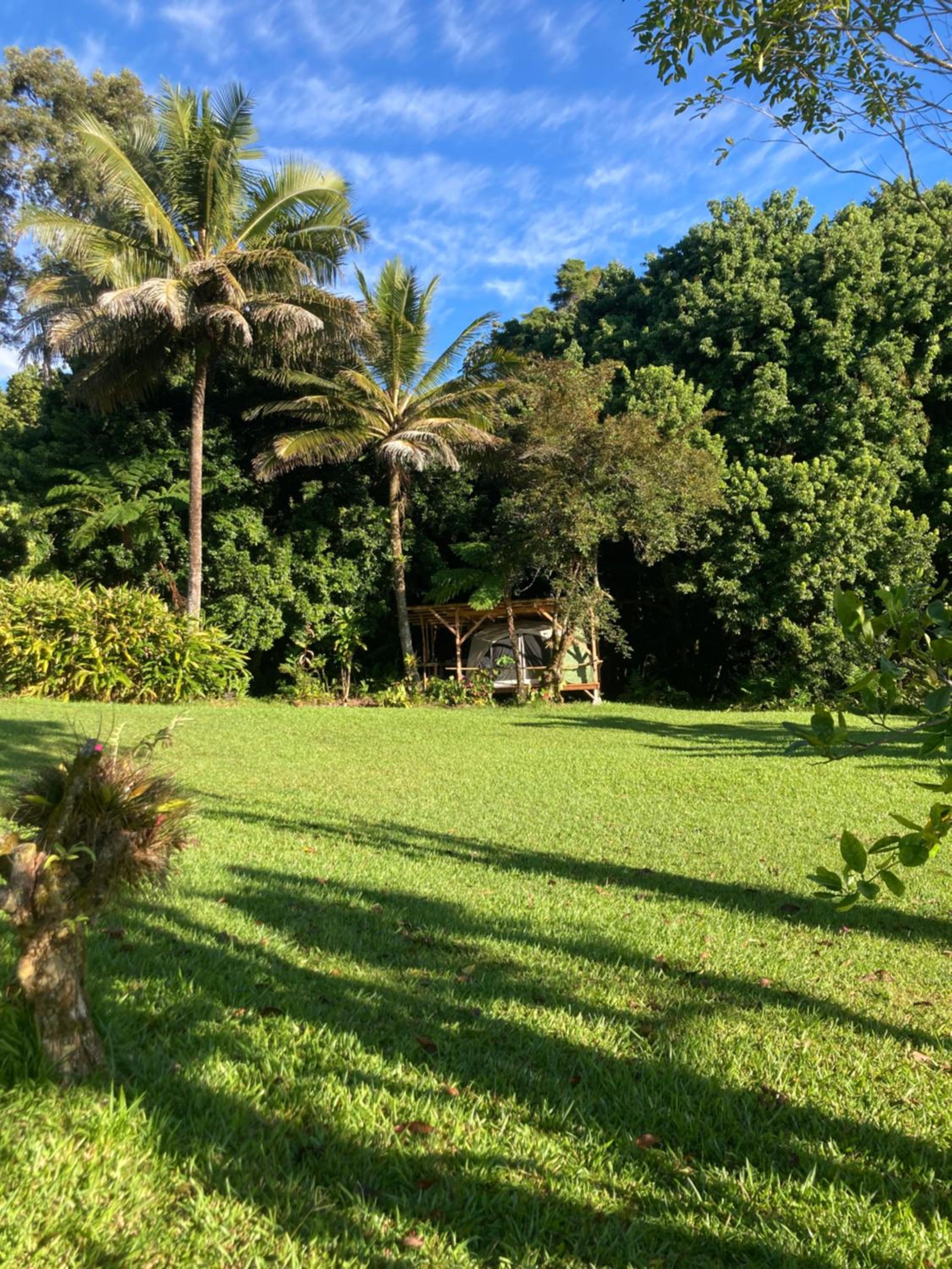 House of Light Sanctuary view 4
