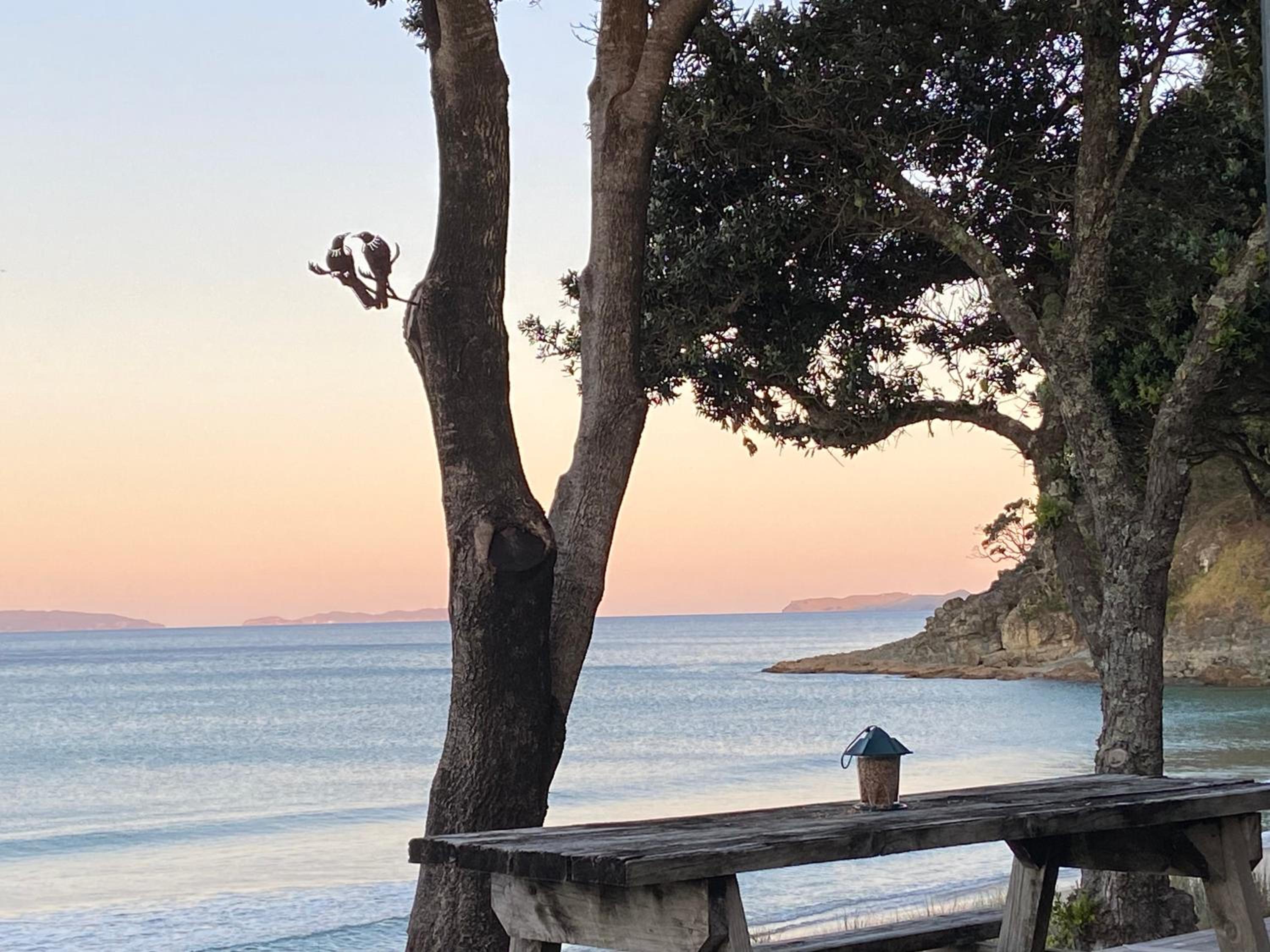 Bliss on the Beach - Whangapoua