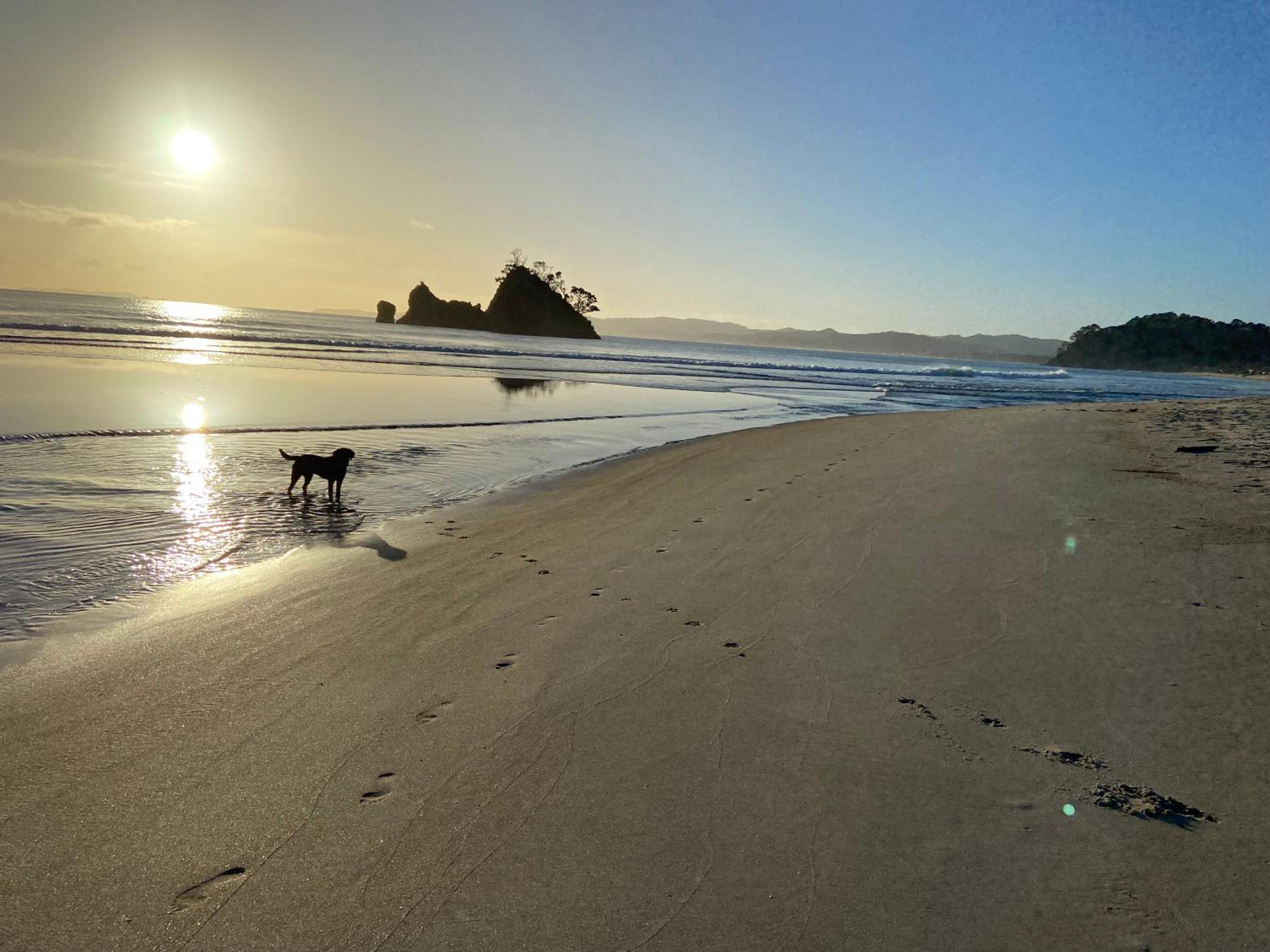 Bliss on the Beach - Whangapoua