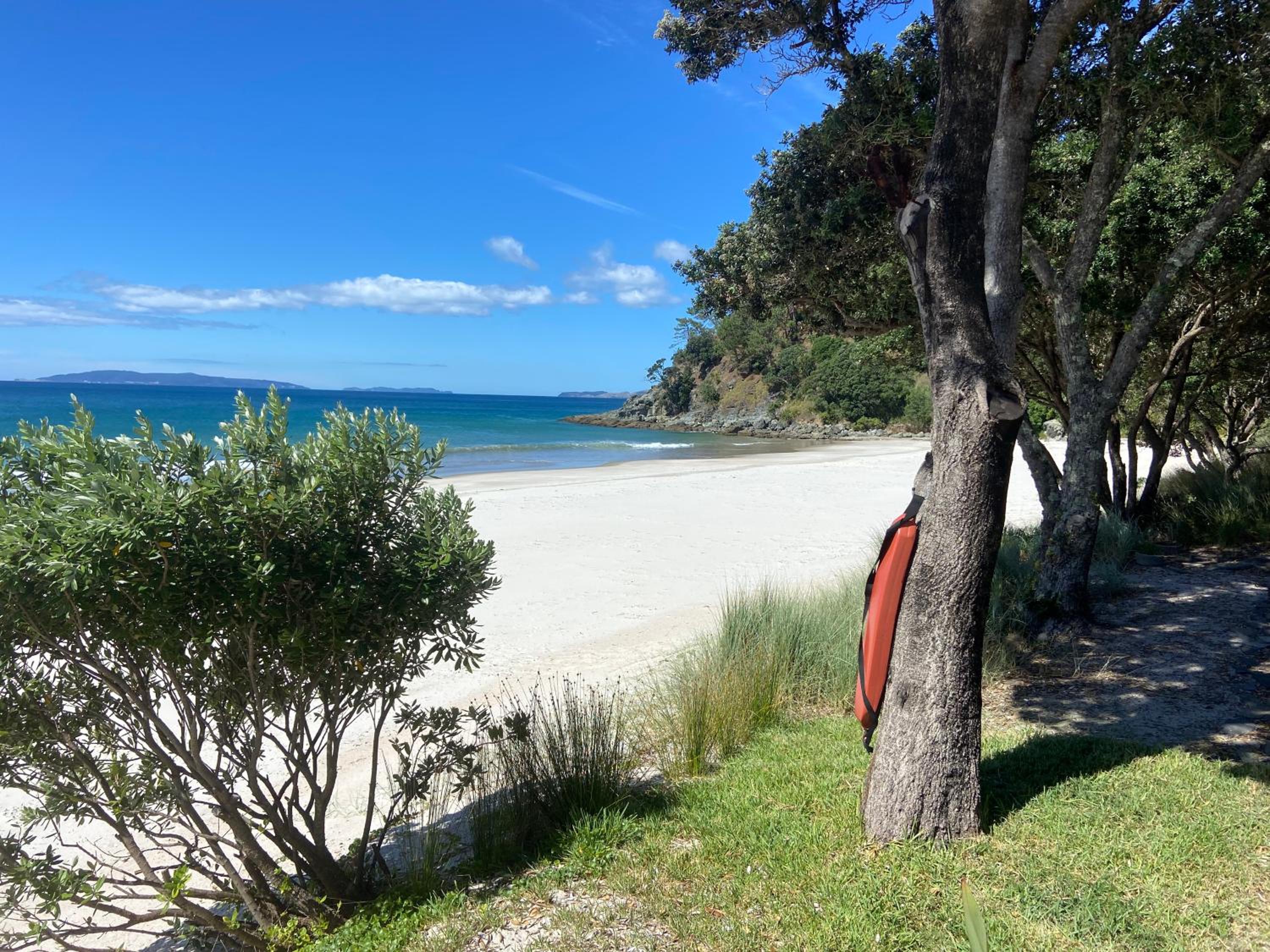 Bliss on the Beach - Whangapoua