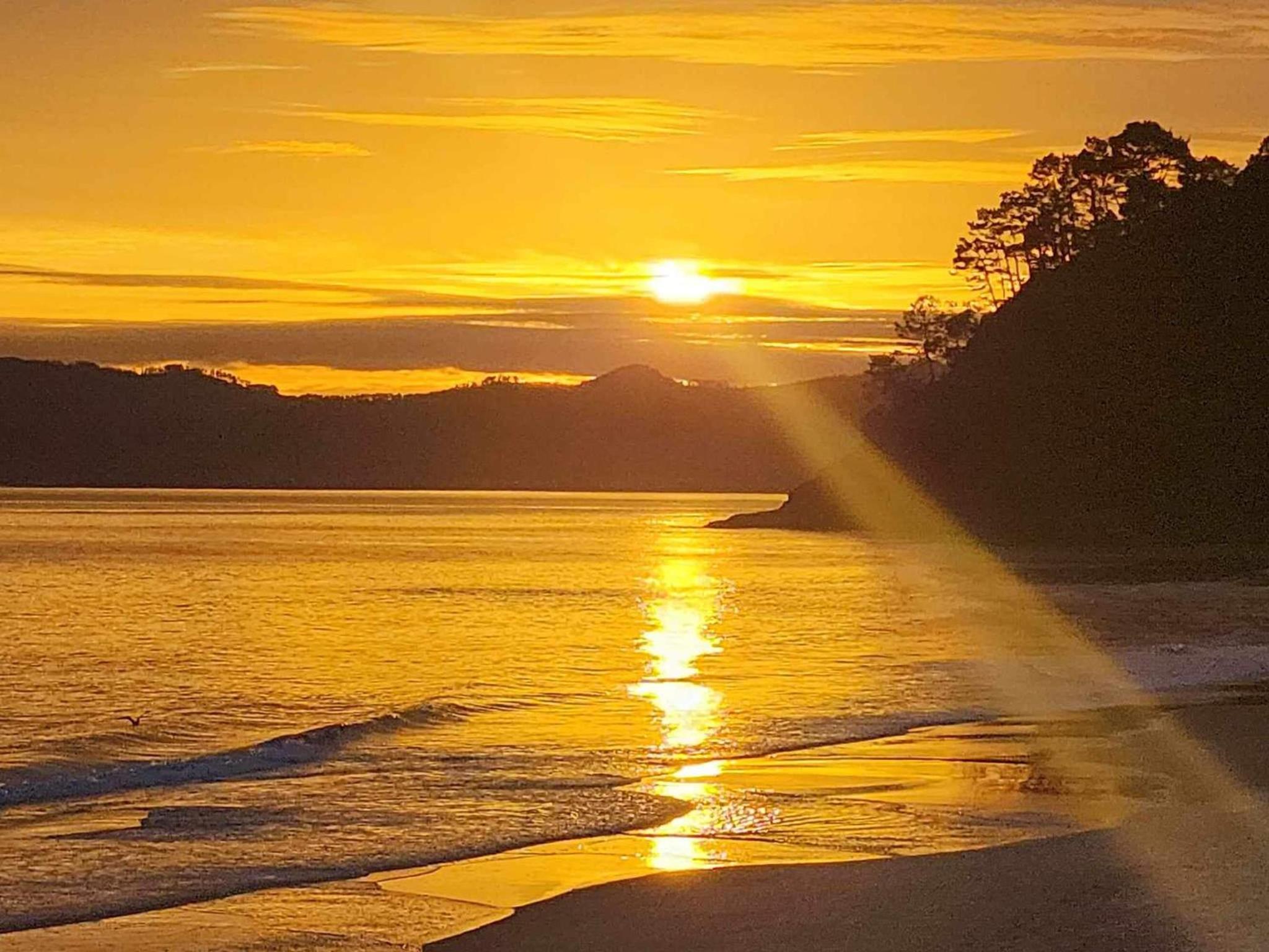 Bliss on the Beach - Whangapoua