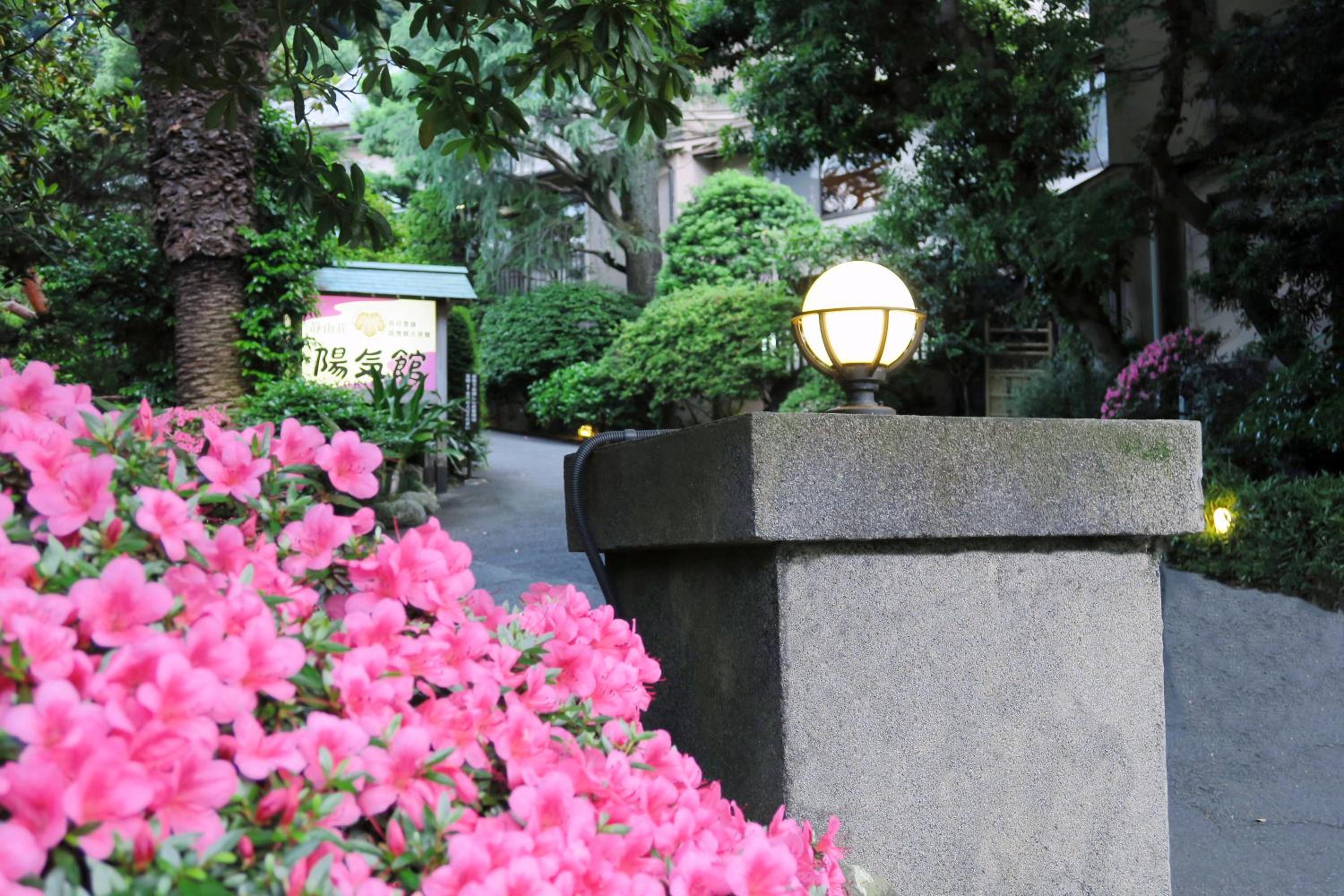 Yokikan, Ito - 19