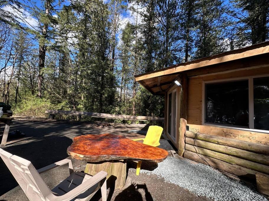 Cabin in the woods @ Cultus Lake