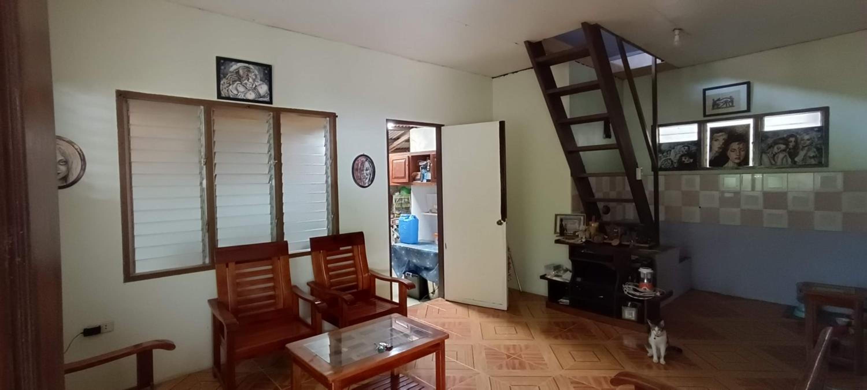 Jorge & Pony House view 2