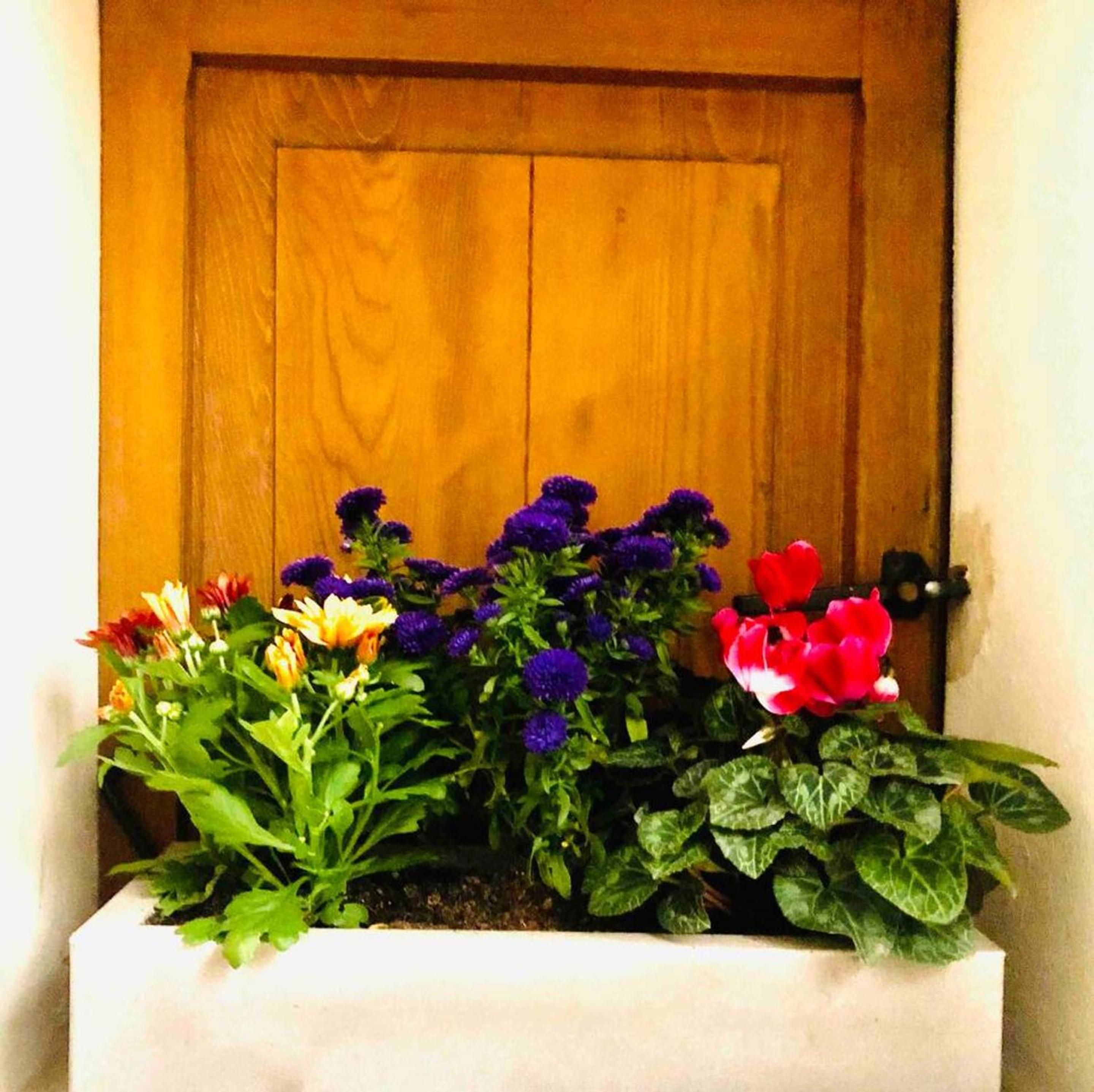 Photo 44