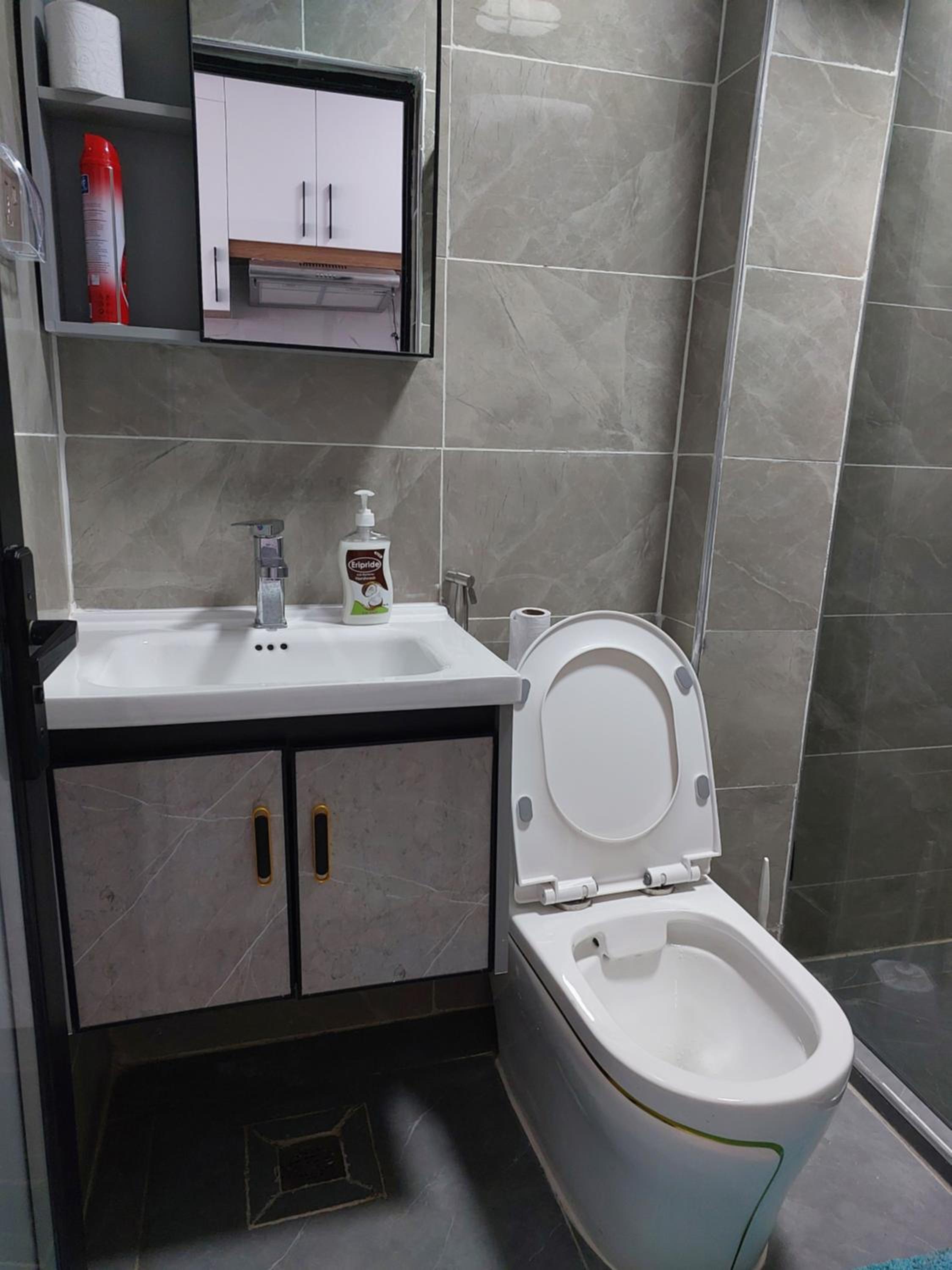 Studio apartment, Smarthomes view 3