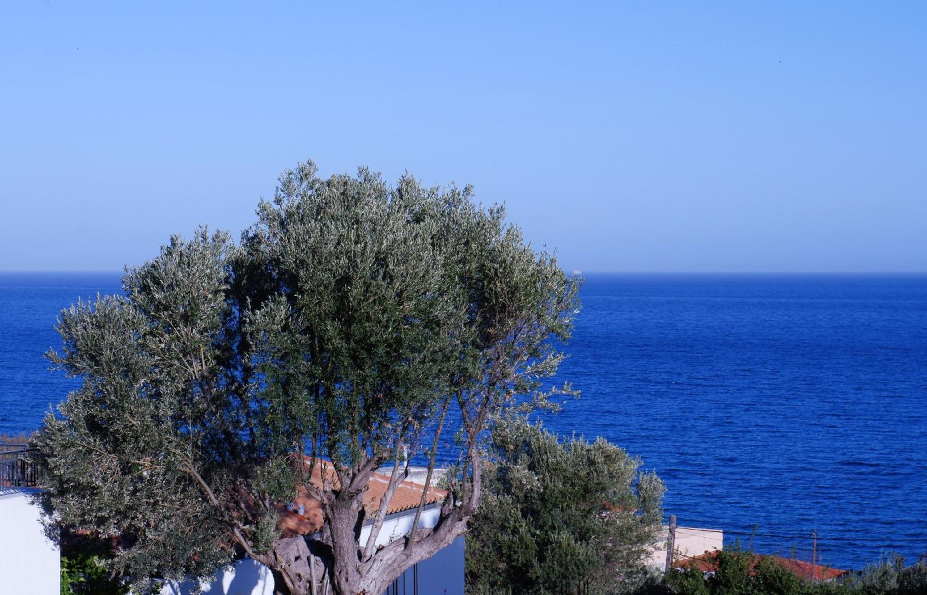 Sterna Suites