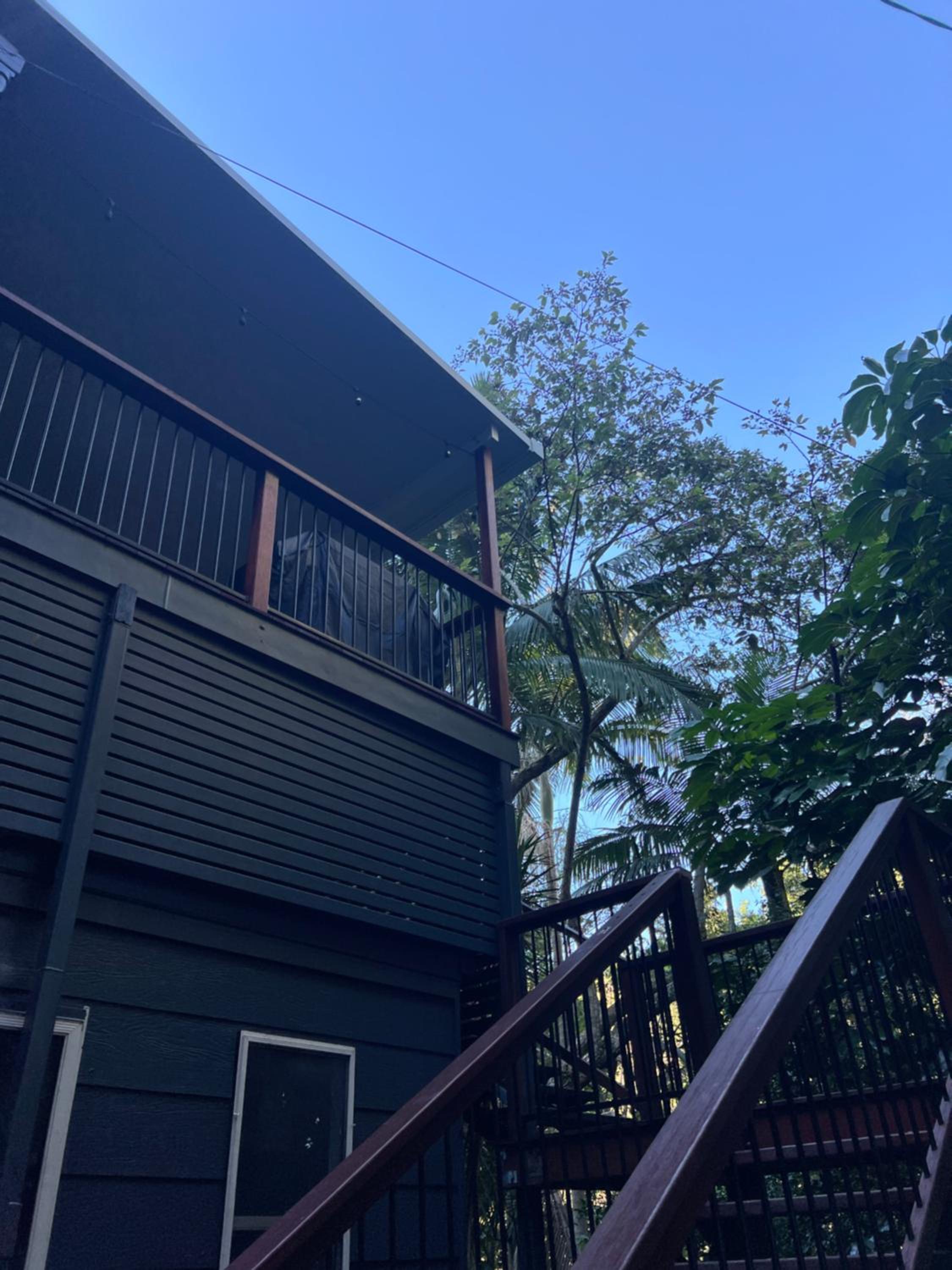 Forrest Cabin meets Treehouse