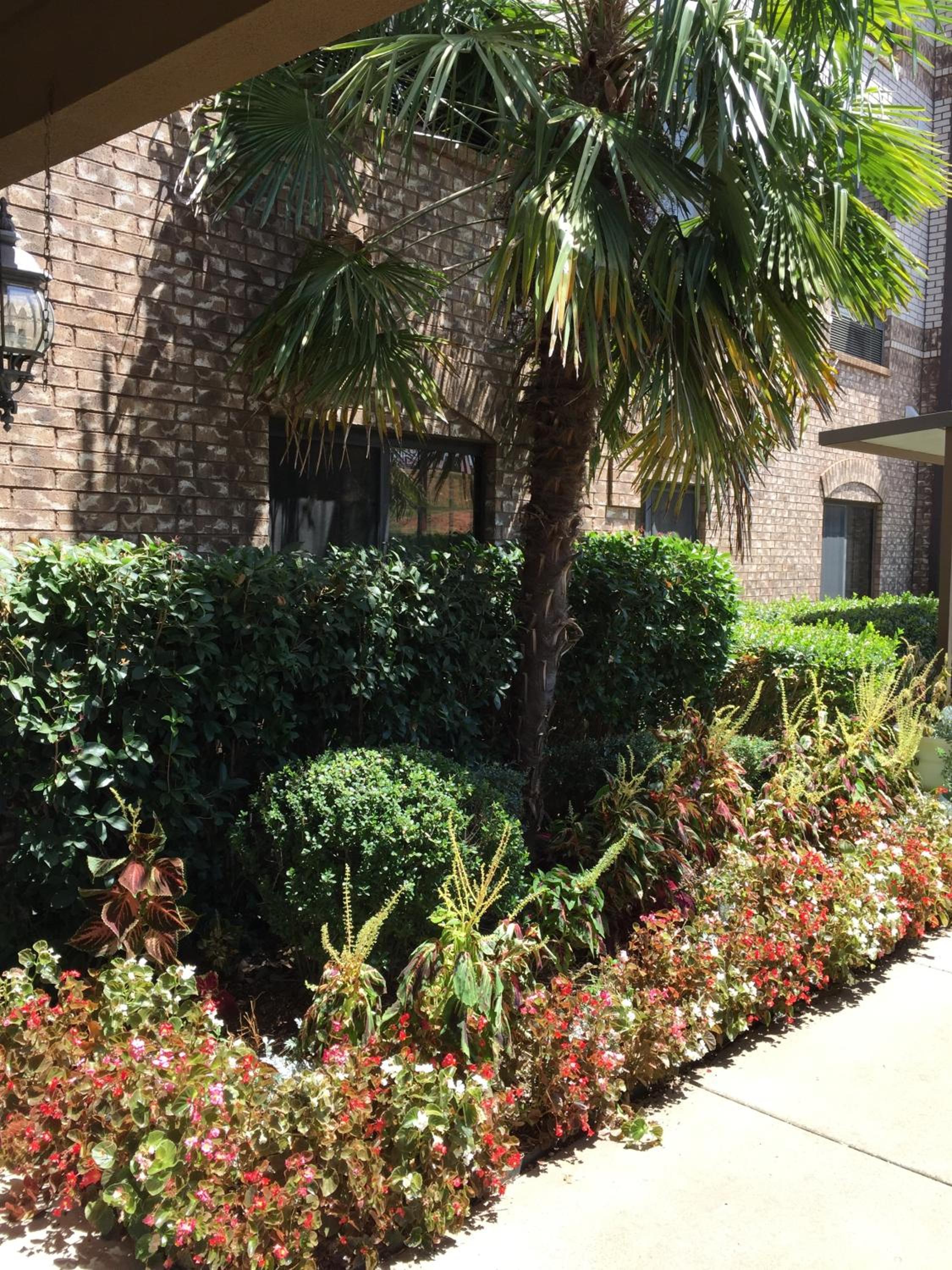 Marshall Vacations - Comfort Suites Marshall - Property Image 35