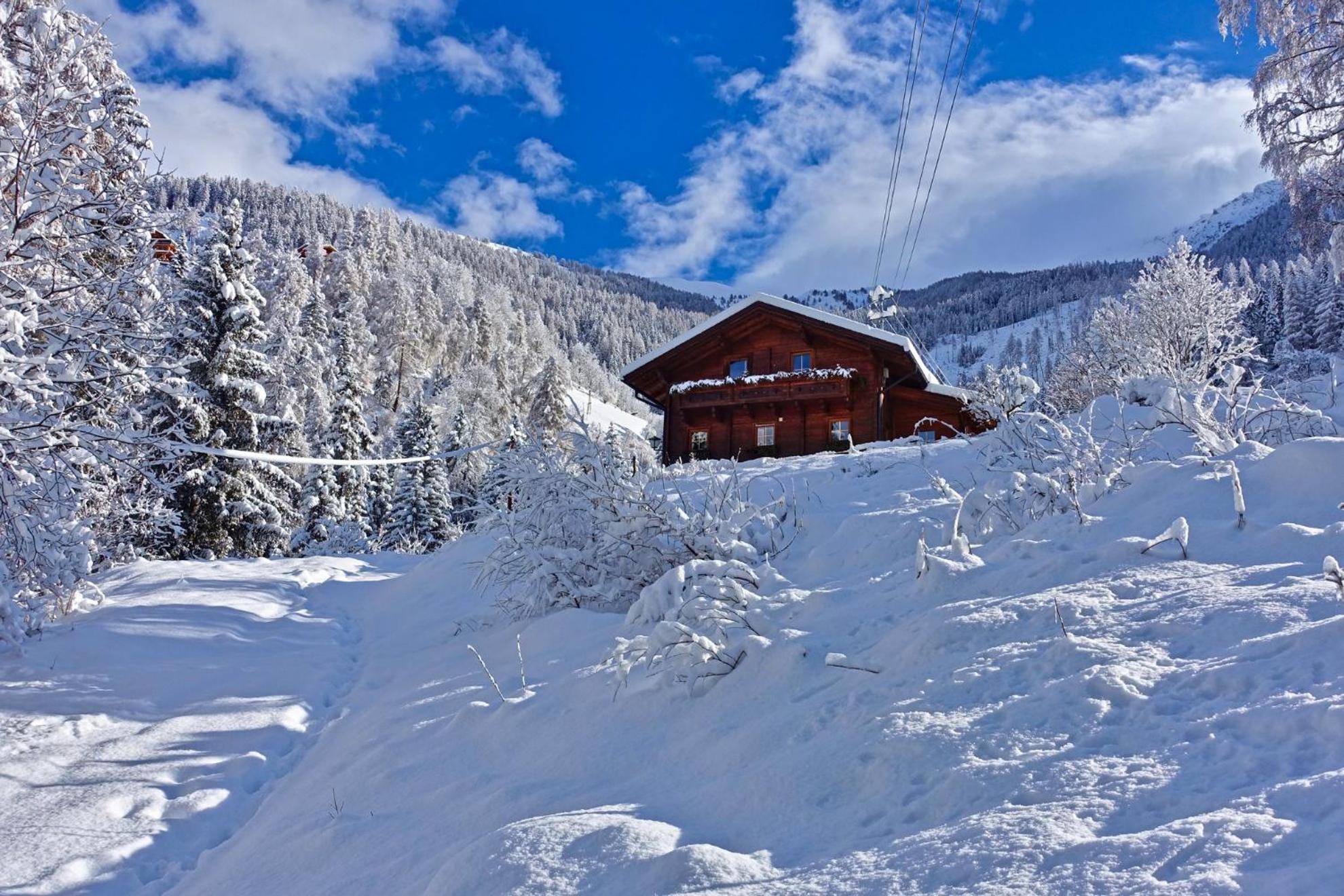 Almchalet Goldbergleiten