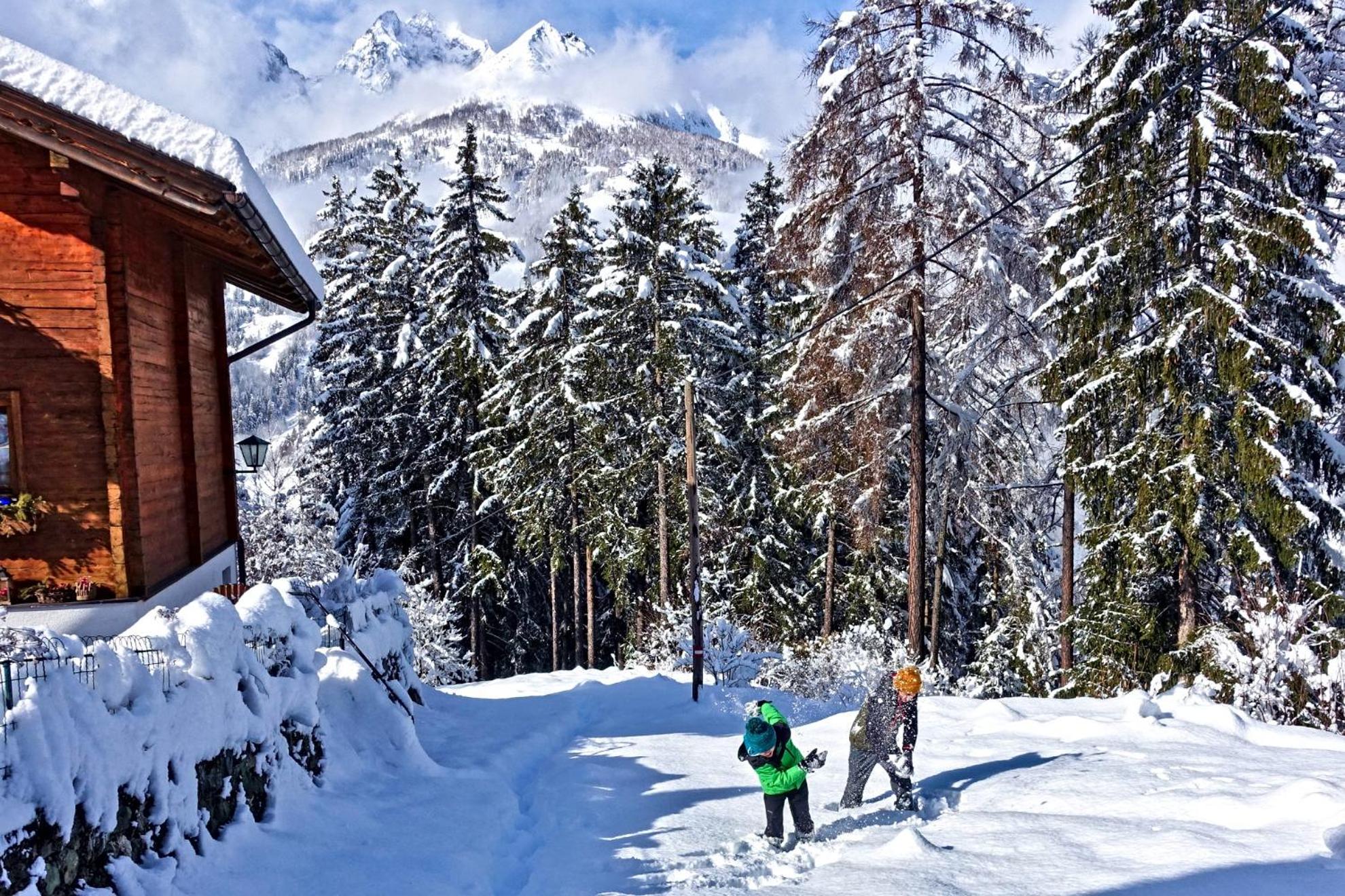 Almchalet Goldbergleiten