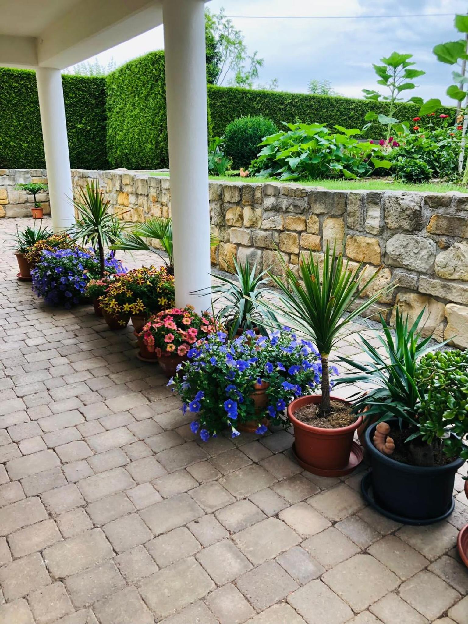 Ferienwohnung mit Terrasse, Garten