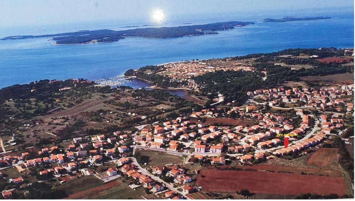 Istrian Blue Pearl