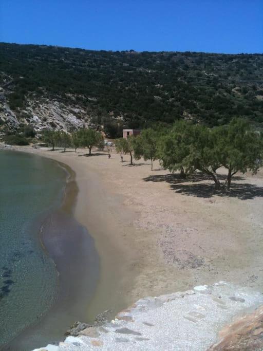 Photo 31