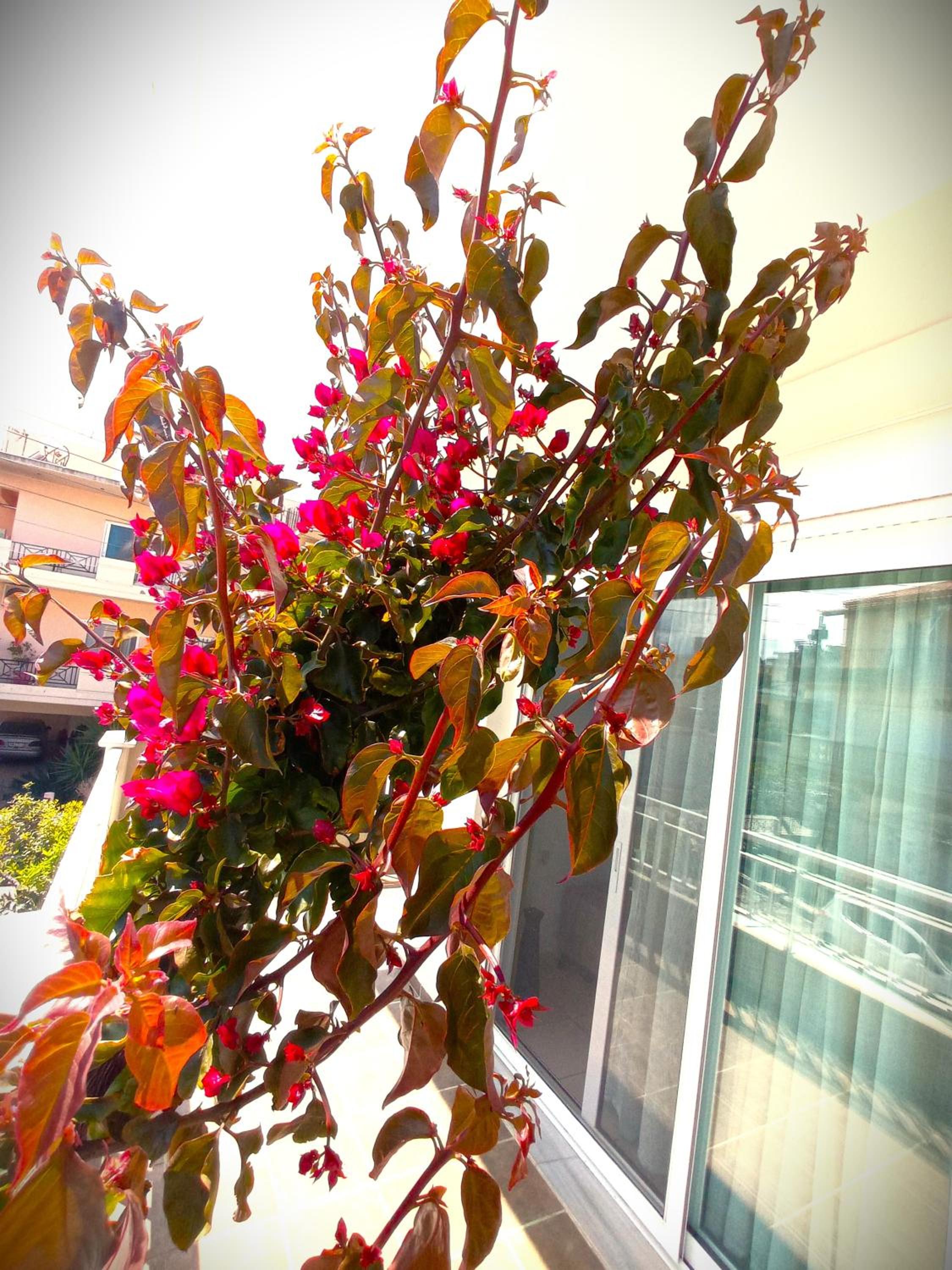 Photo 46