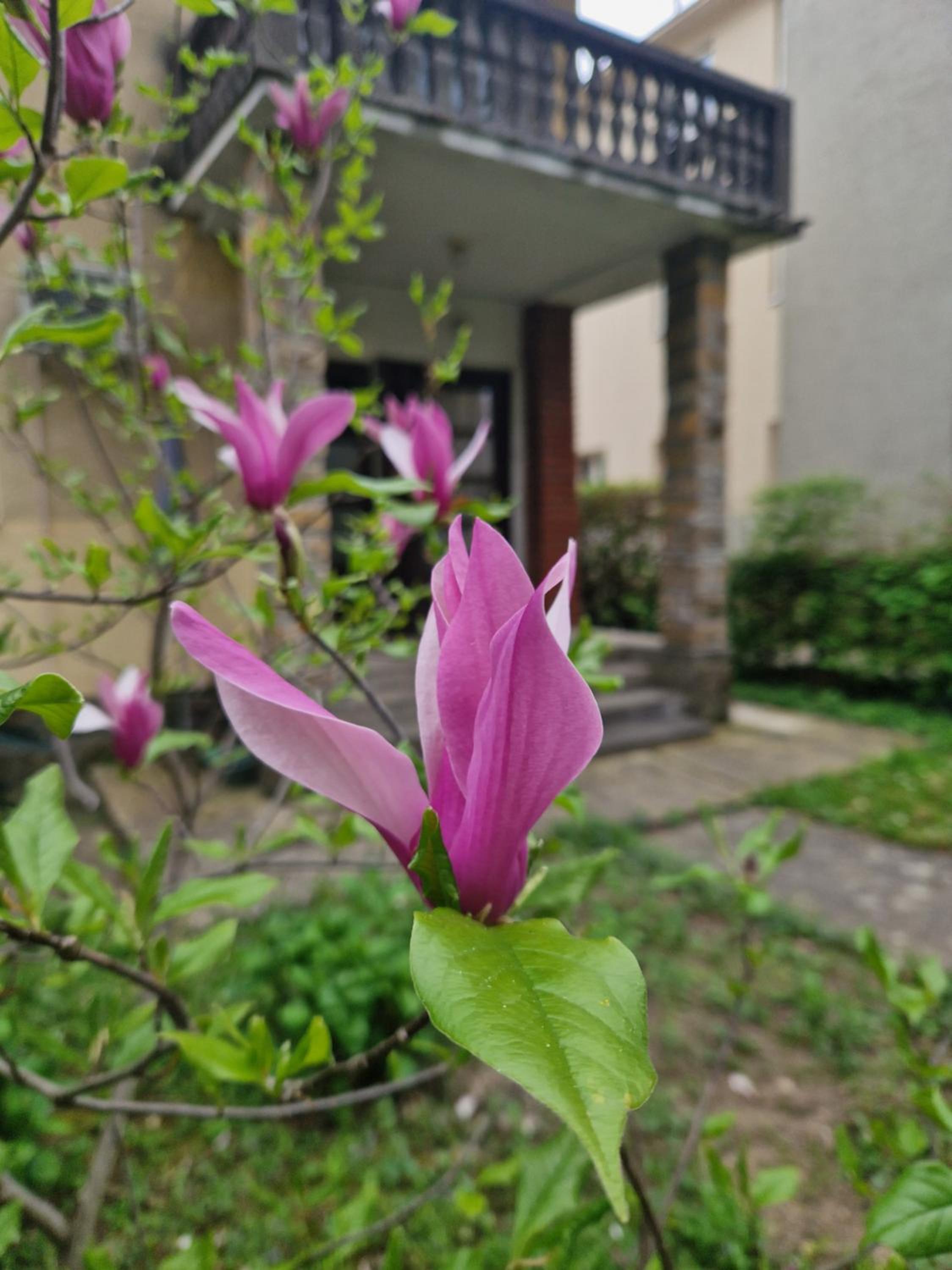 Apartman Merkur