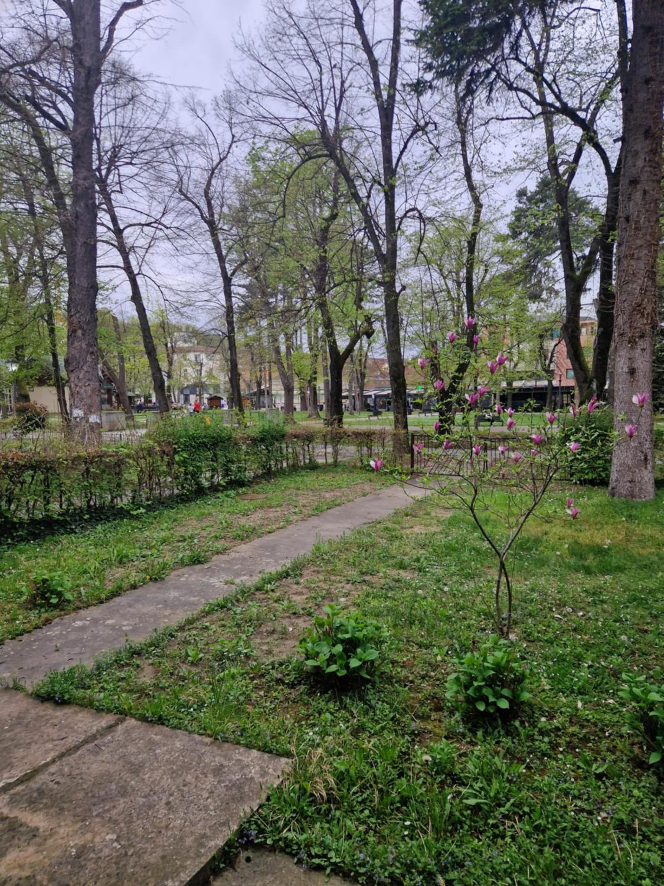 Apartman Merkur