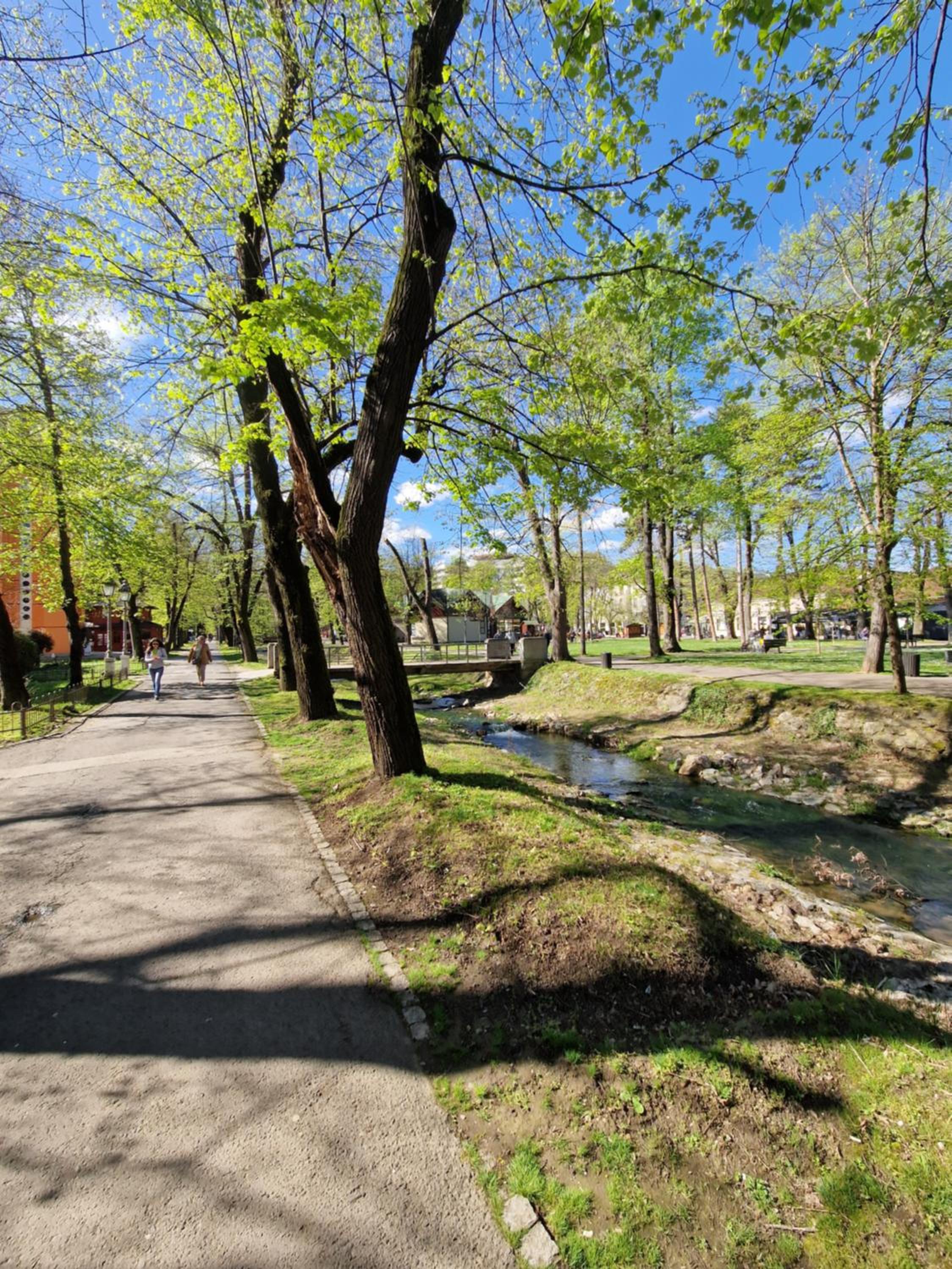 Apartman Merkur