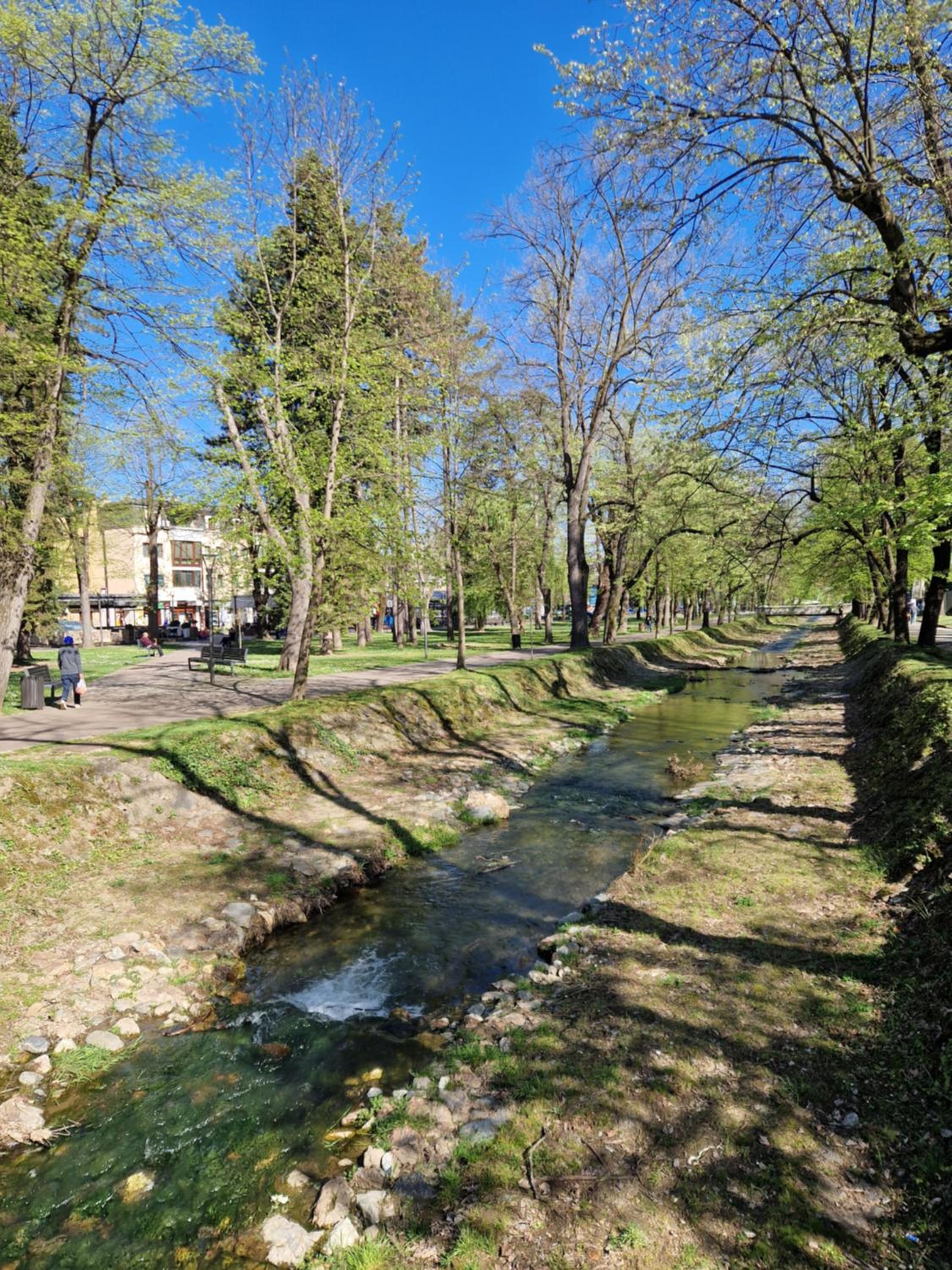 Apartman Merkur