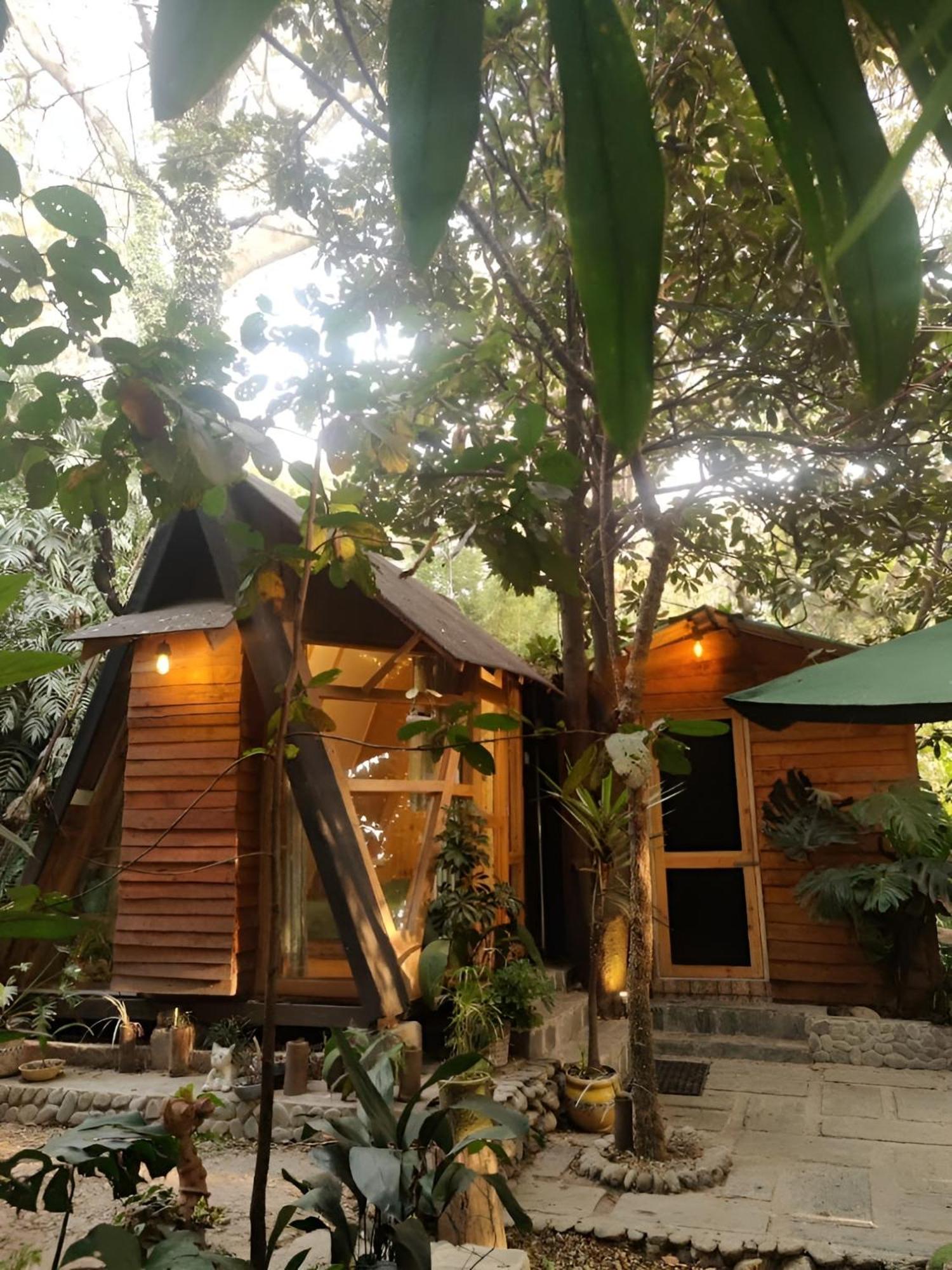 Tensoon Soulful Abode By Wanderthirst Dharamshala