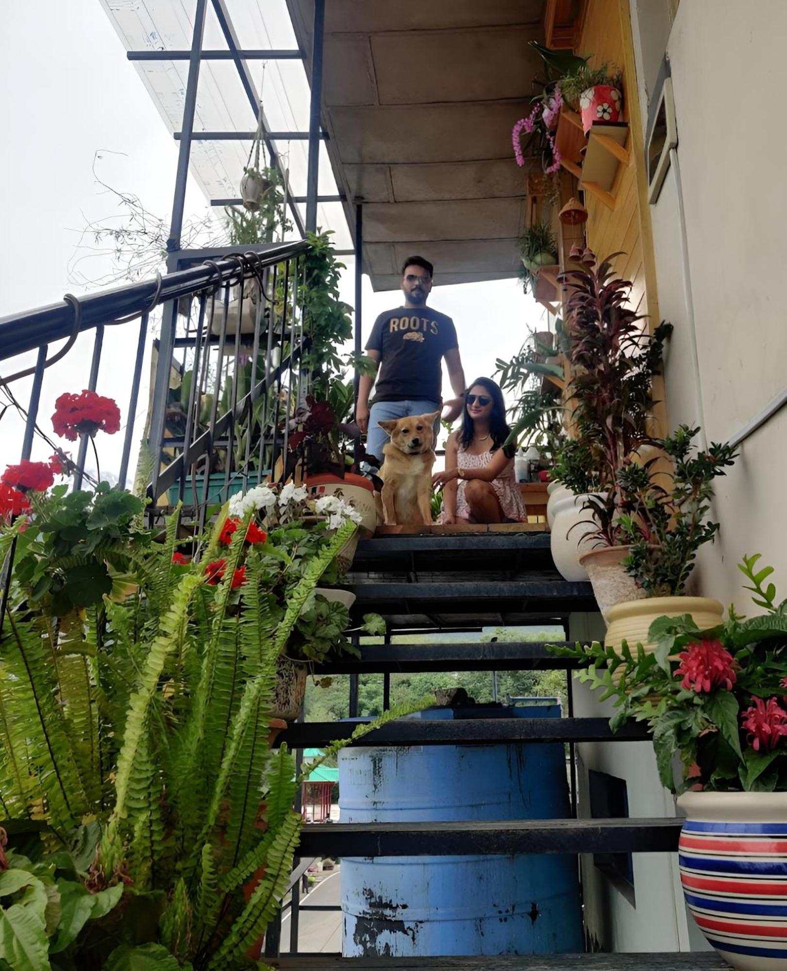 Tensoon Soulful Abode By Wanderthirst Dharamshala