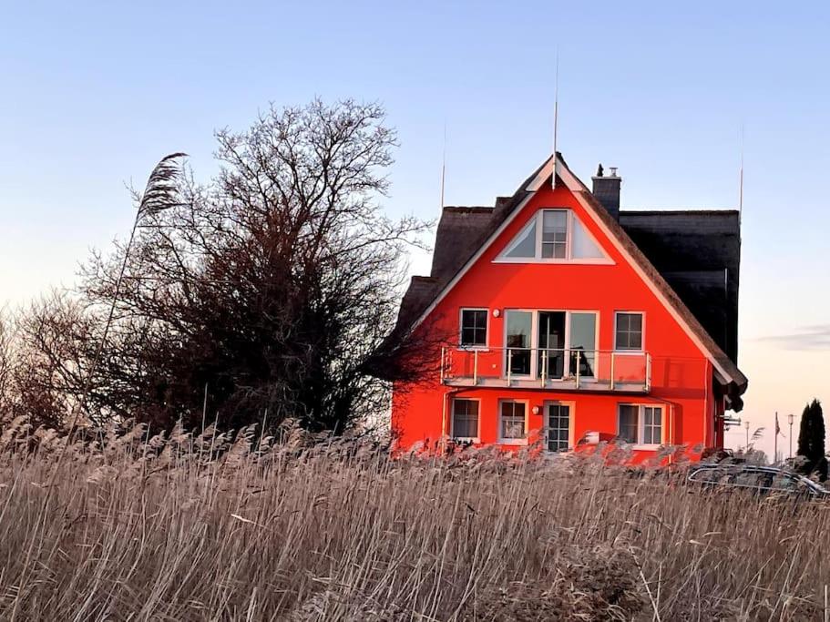 Fewo Austernfischer im Hafenhaus