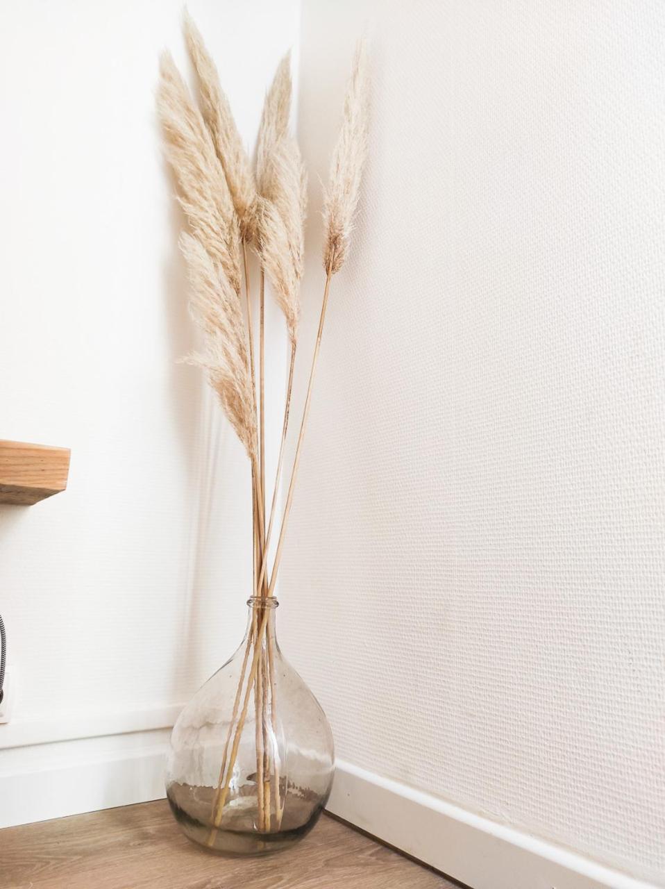 Le Cosy Valcros, design et confort