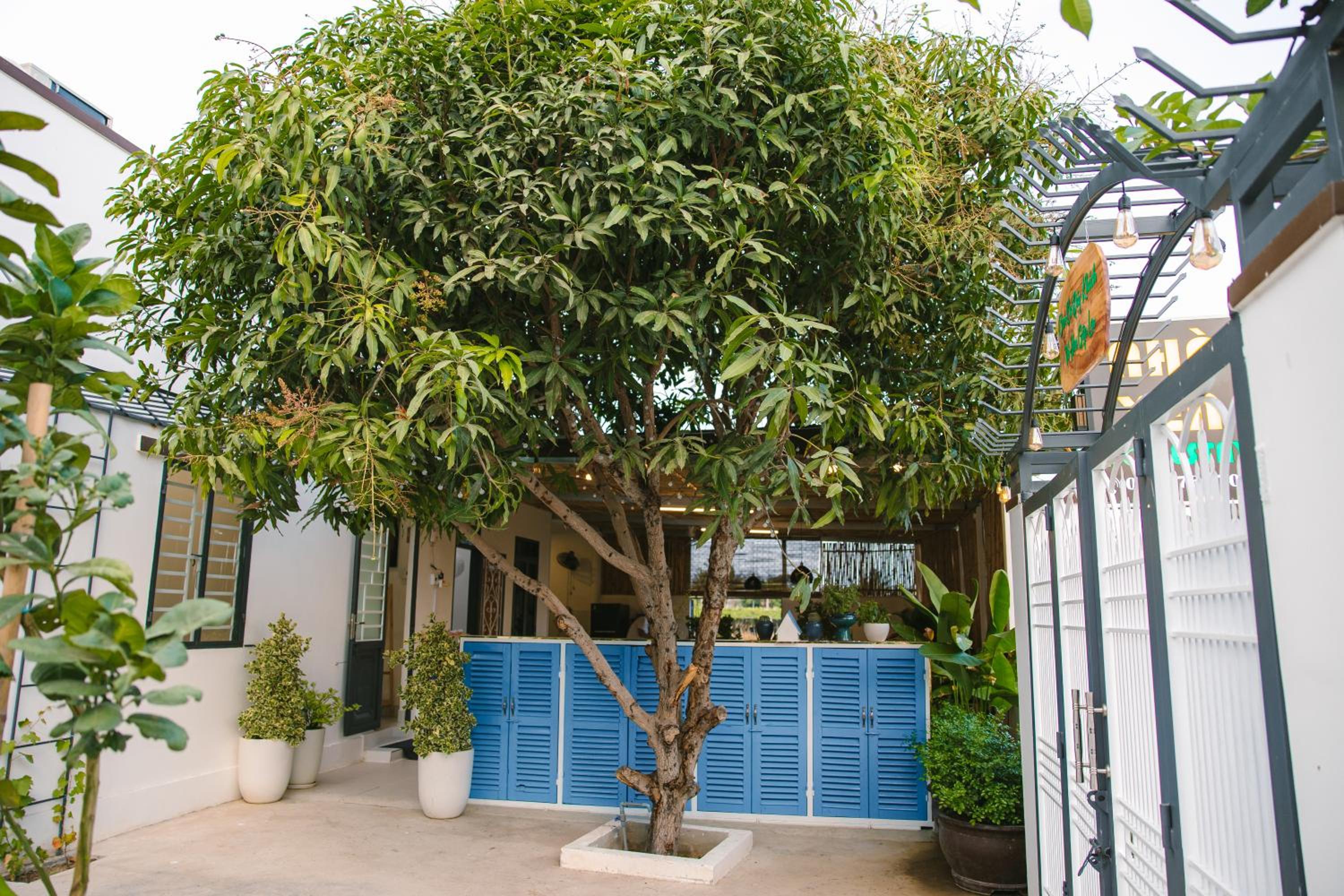 Nhà Yên Homestay Phan Rang