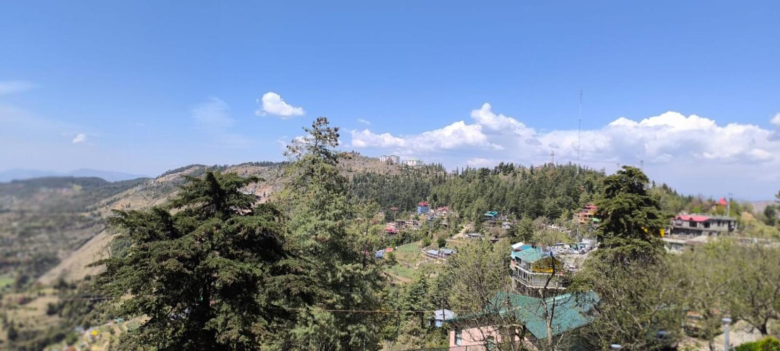 Udman Grand Mashobra
