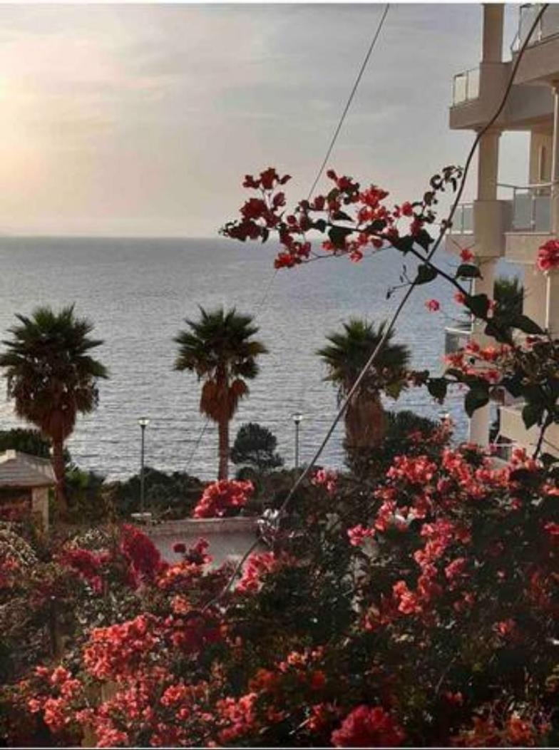 Beachfront Apartments- Horizon Residence
