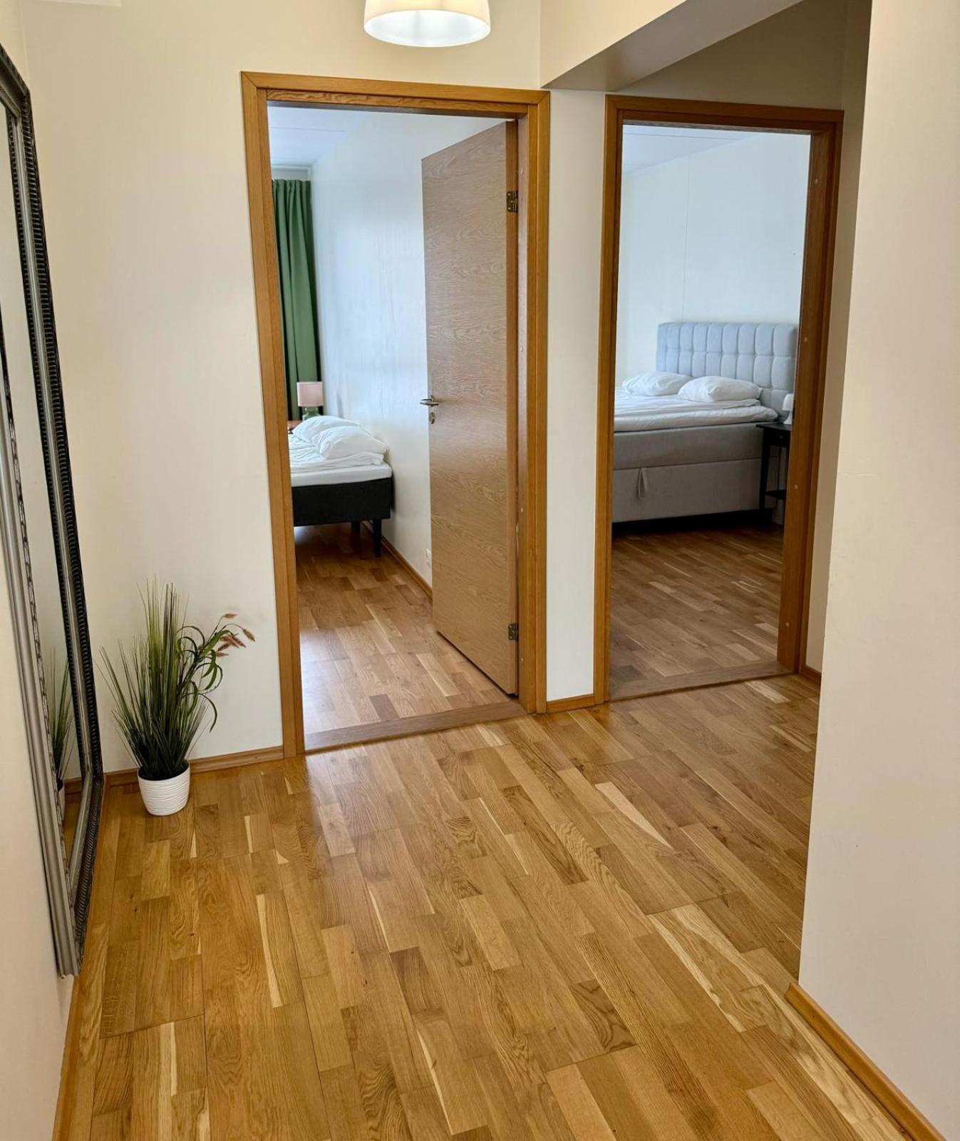 Raatuse 85 Deluxe Apartments view 4