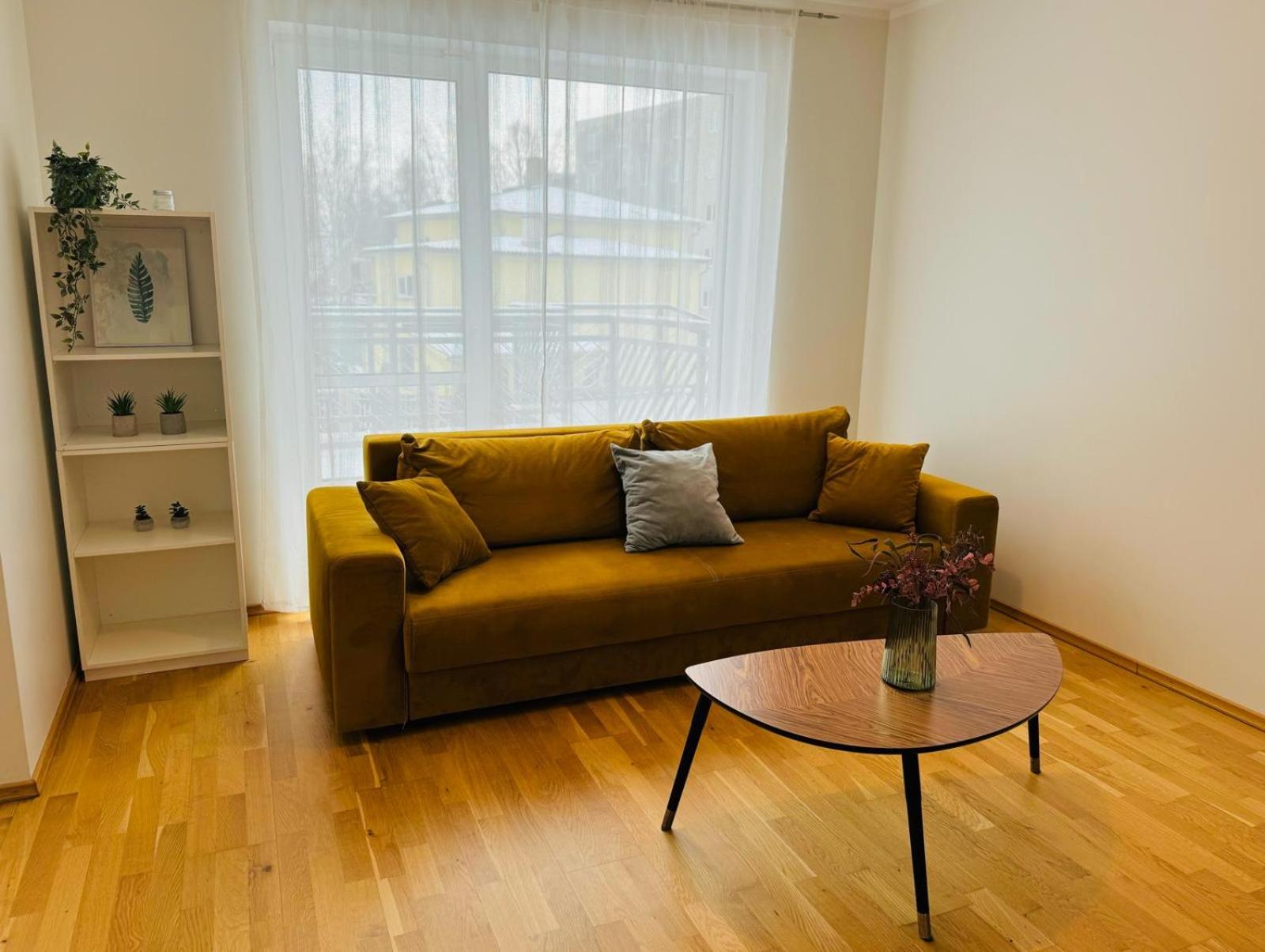 Raatuse 85 Deluxe Apartments view 2