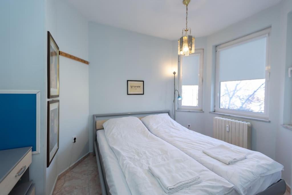 Sunny & Convenient on Dondoukov Blvd, 1 BDR Zaimov