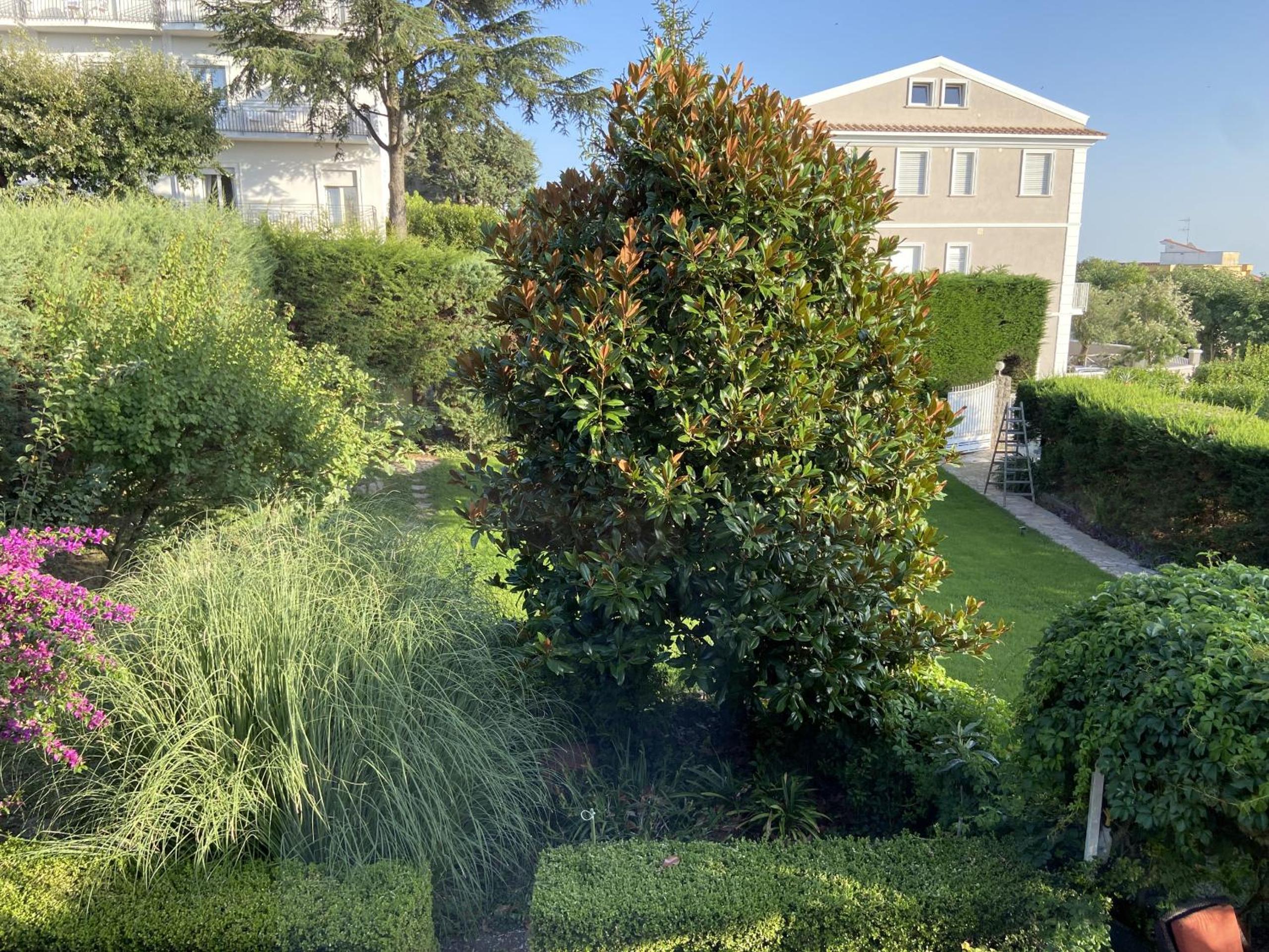 The House of Annie with magnificent garden photo 5