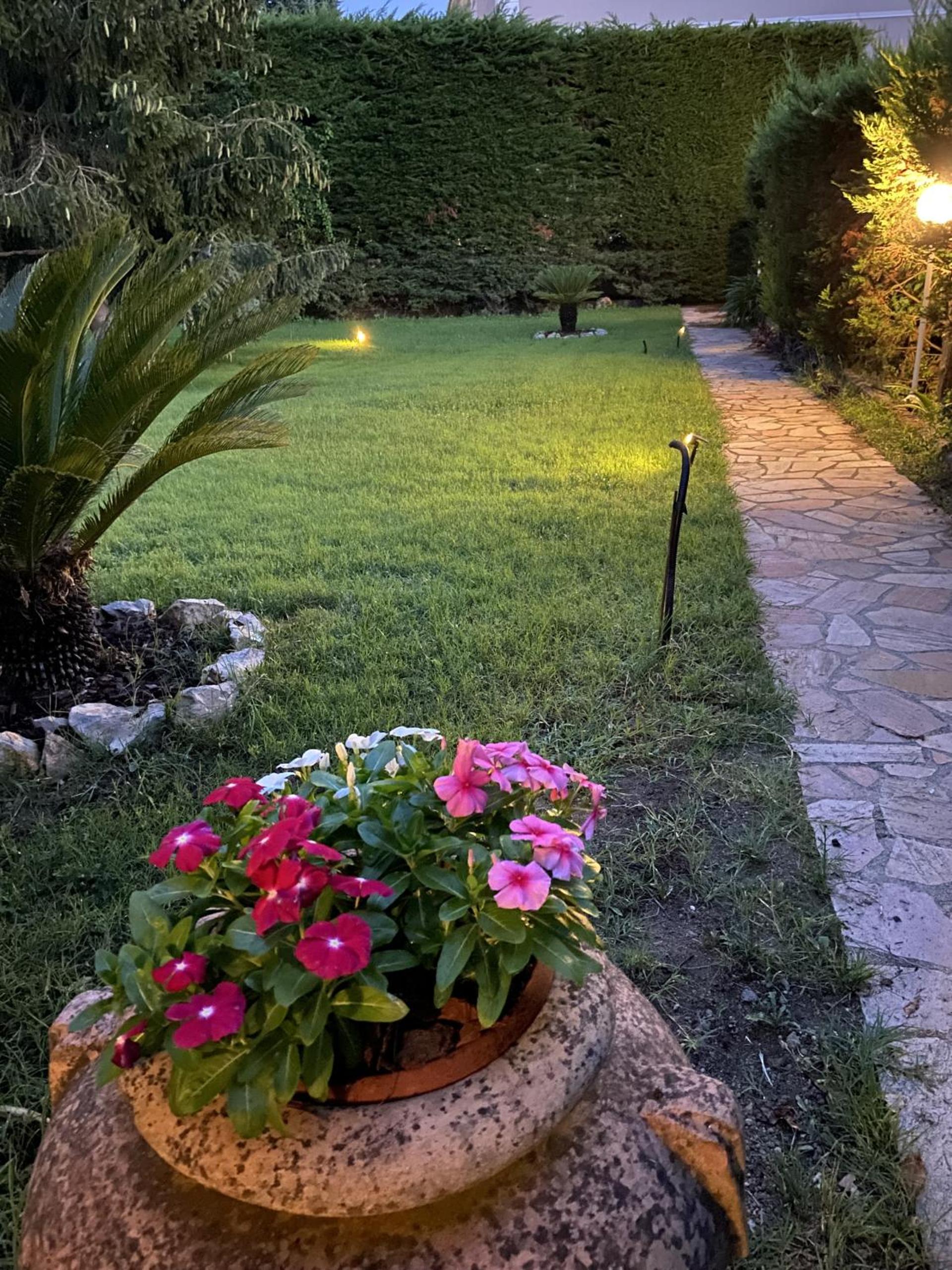 Photo 31
