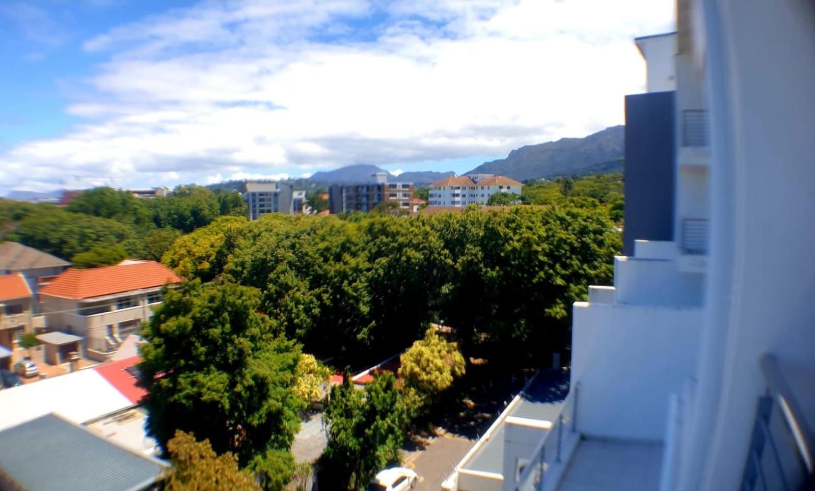 The Rondebosch Views