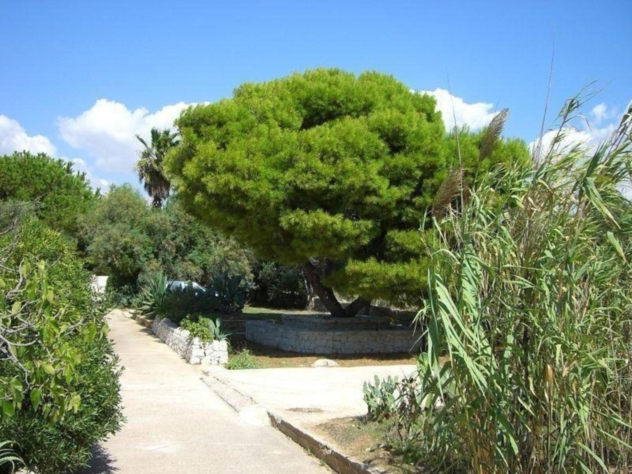 Villa Matilde Kleine Ferienwohnung mit Meerblick