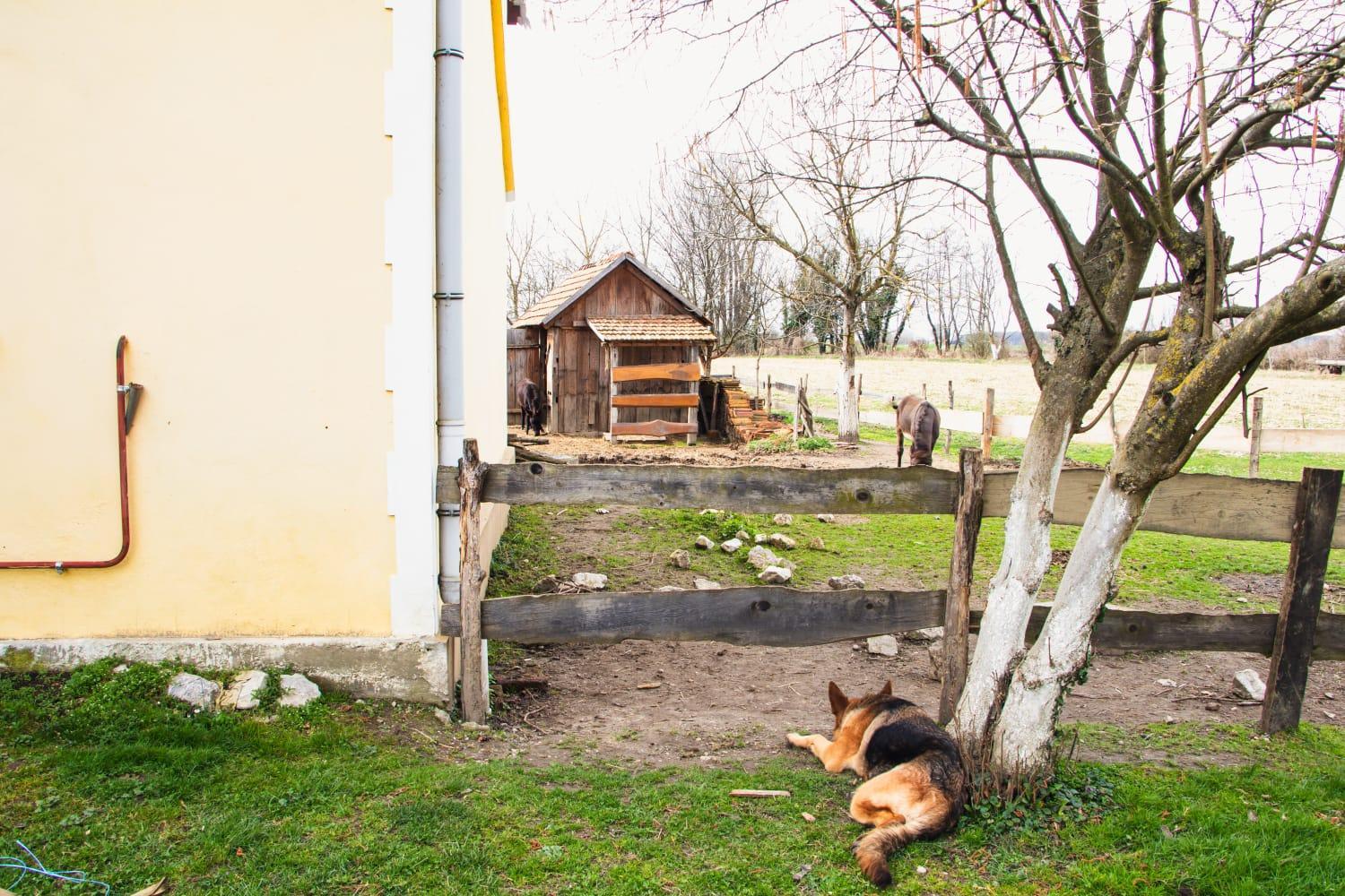 Photo 40
