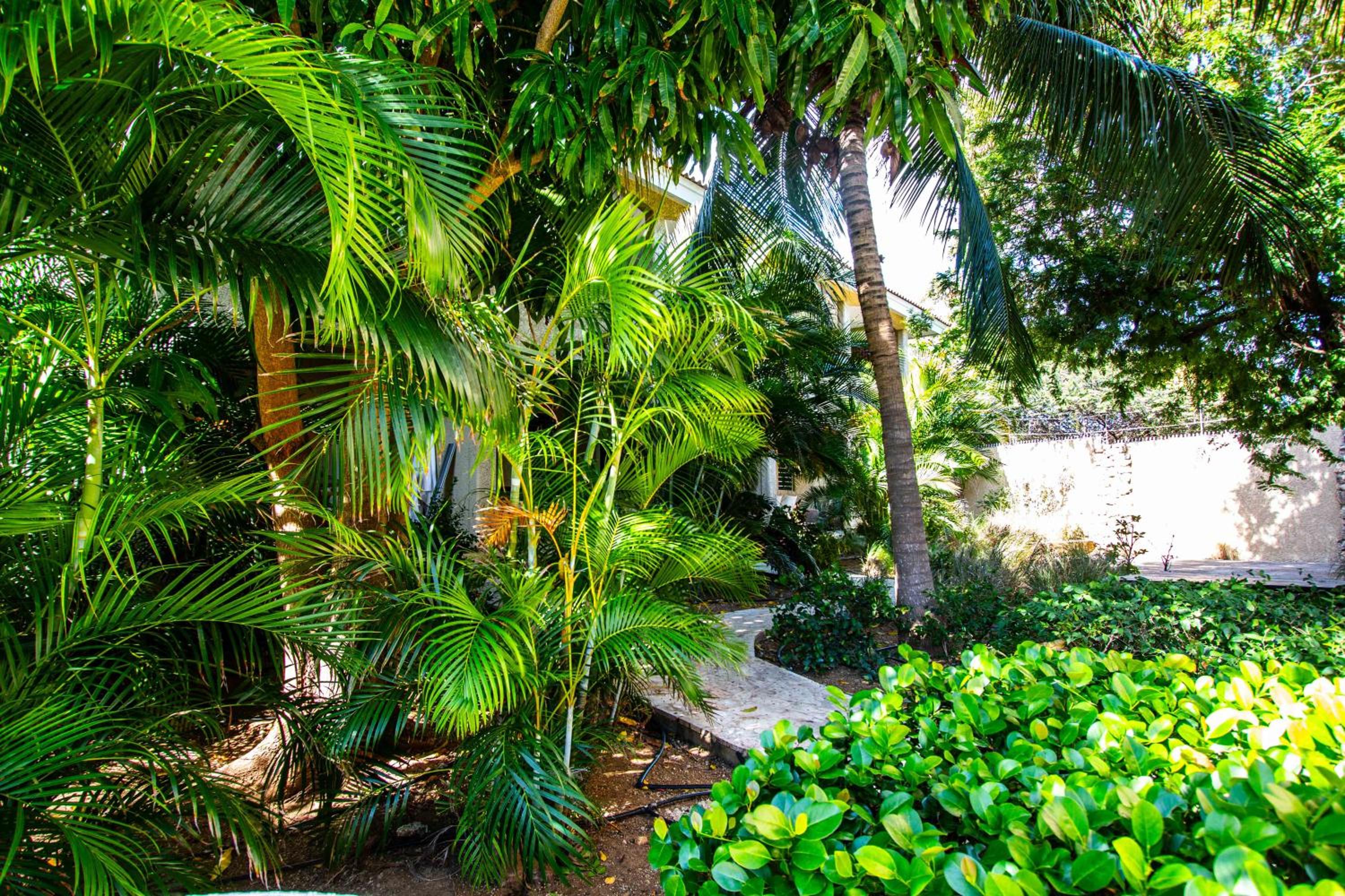 CocoCasa 22 Stylish Luxury Apartment with Pool near Jan Thiel Beach