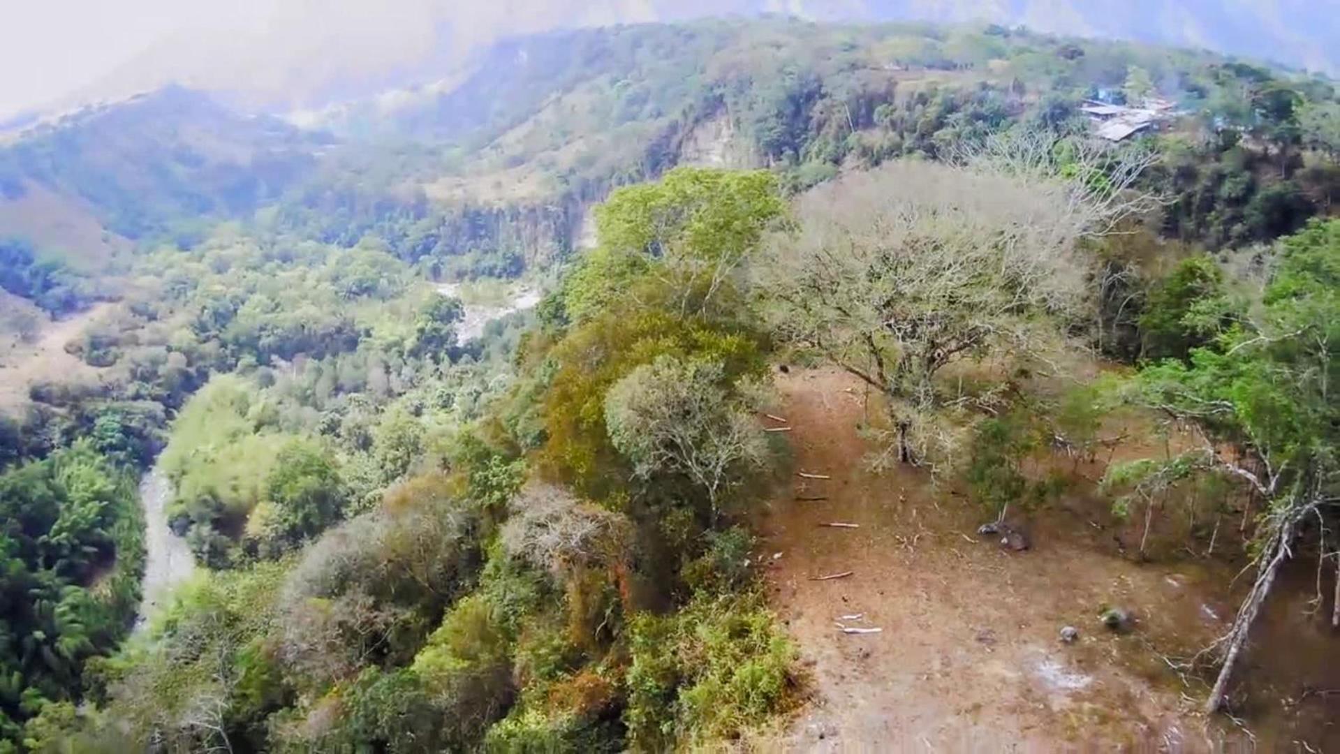 Llanitos de Aurora