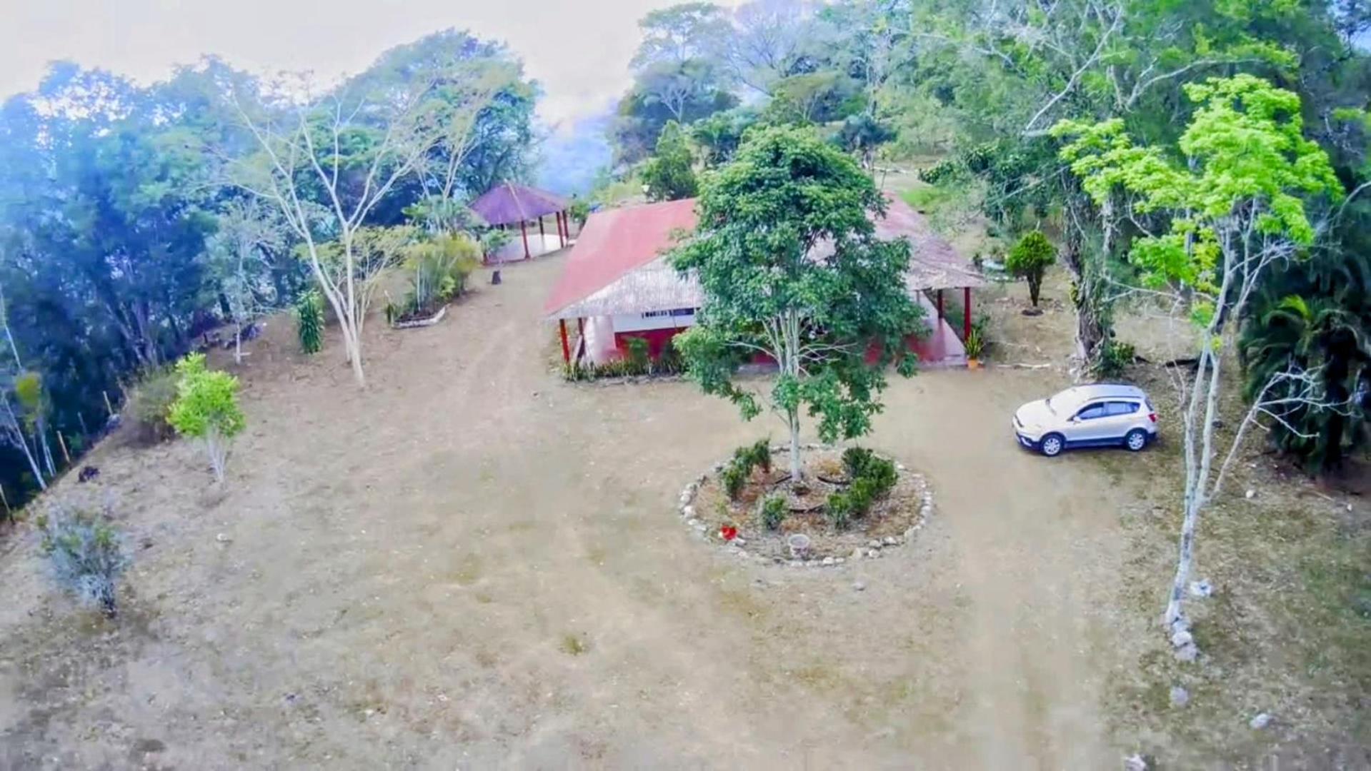 Llanitos de Aurora