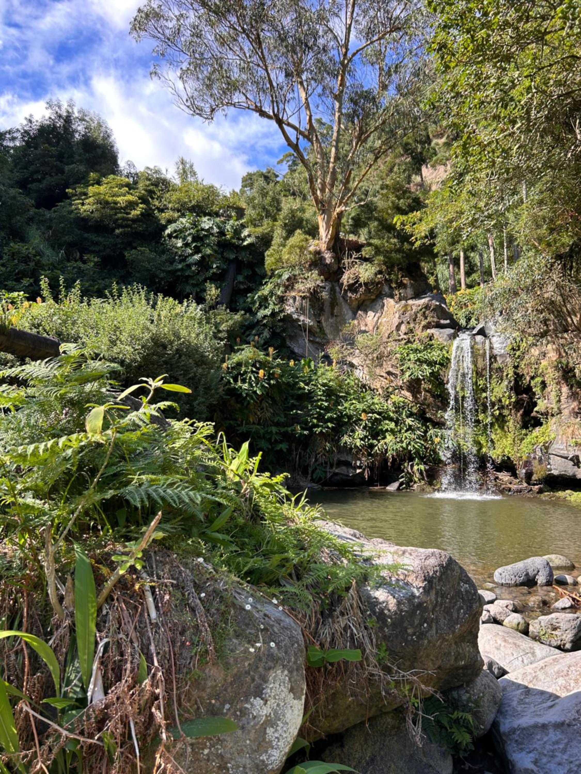 Eco Surflodge Azores