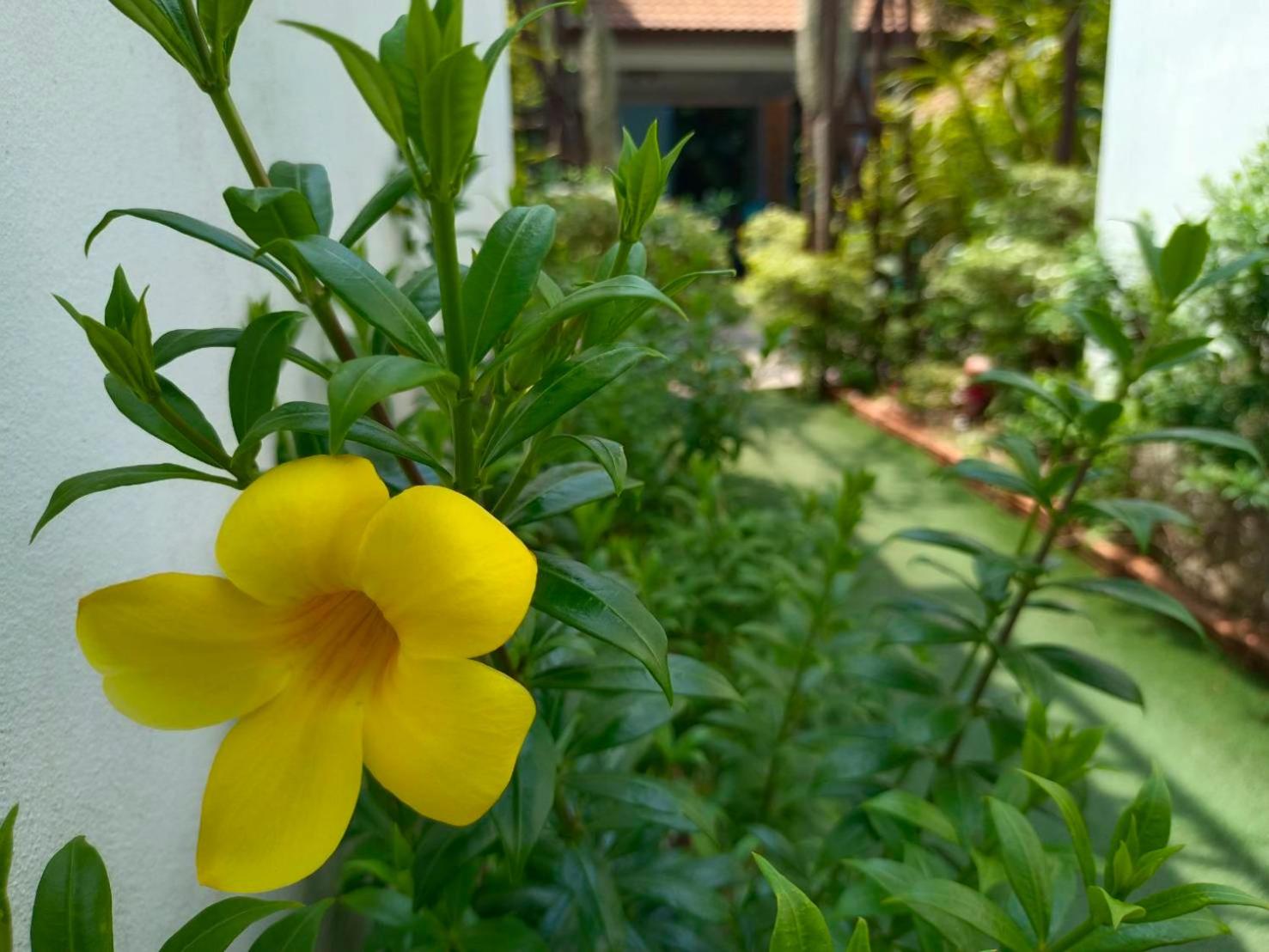 Phannarai House