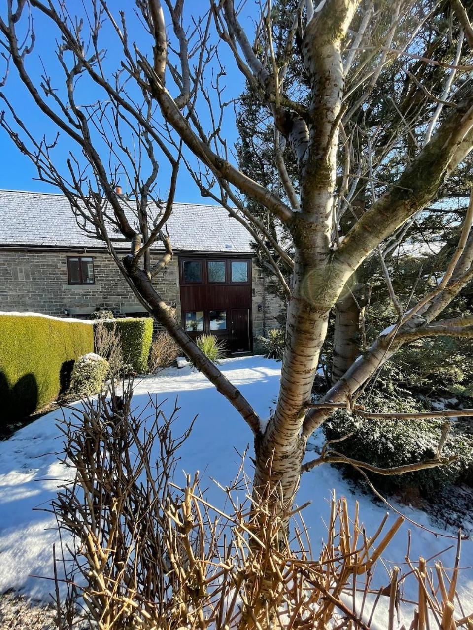 Beech Cottage cosy 7 bed sleeps 9 - dogs very welcome, photo 33