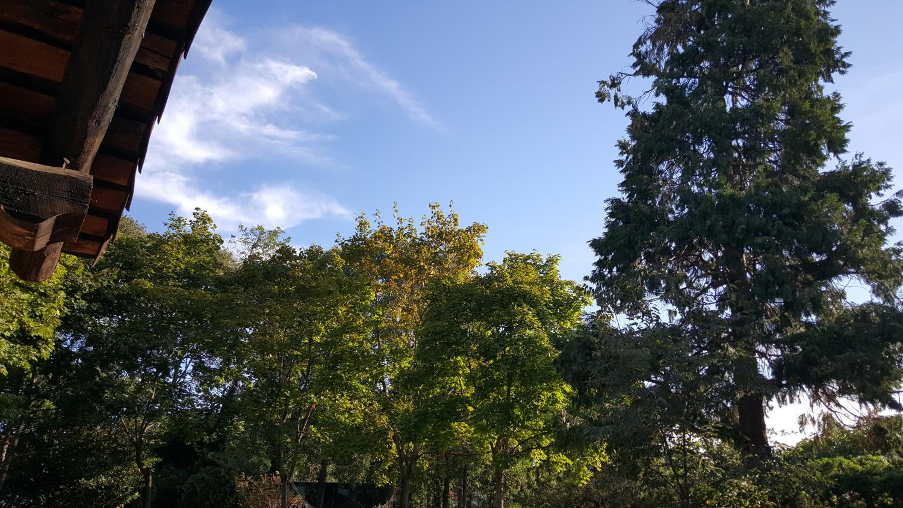 Photo 33