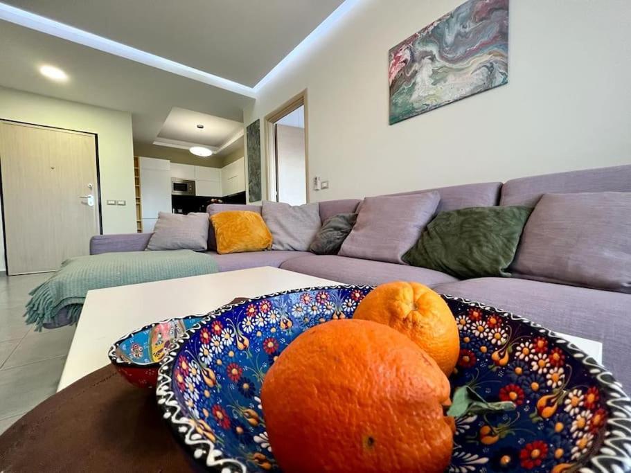 Apartment Florentina