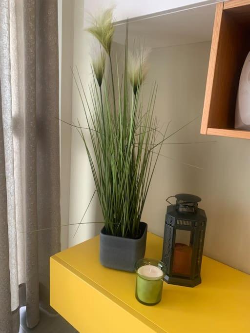 Apartment Florentina