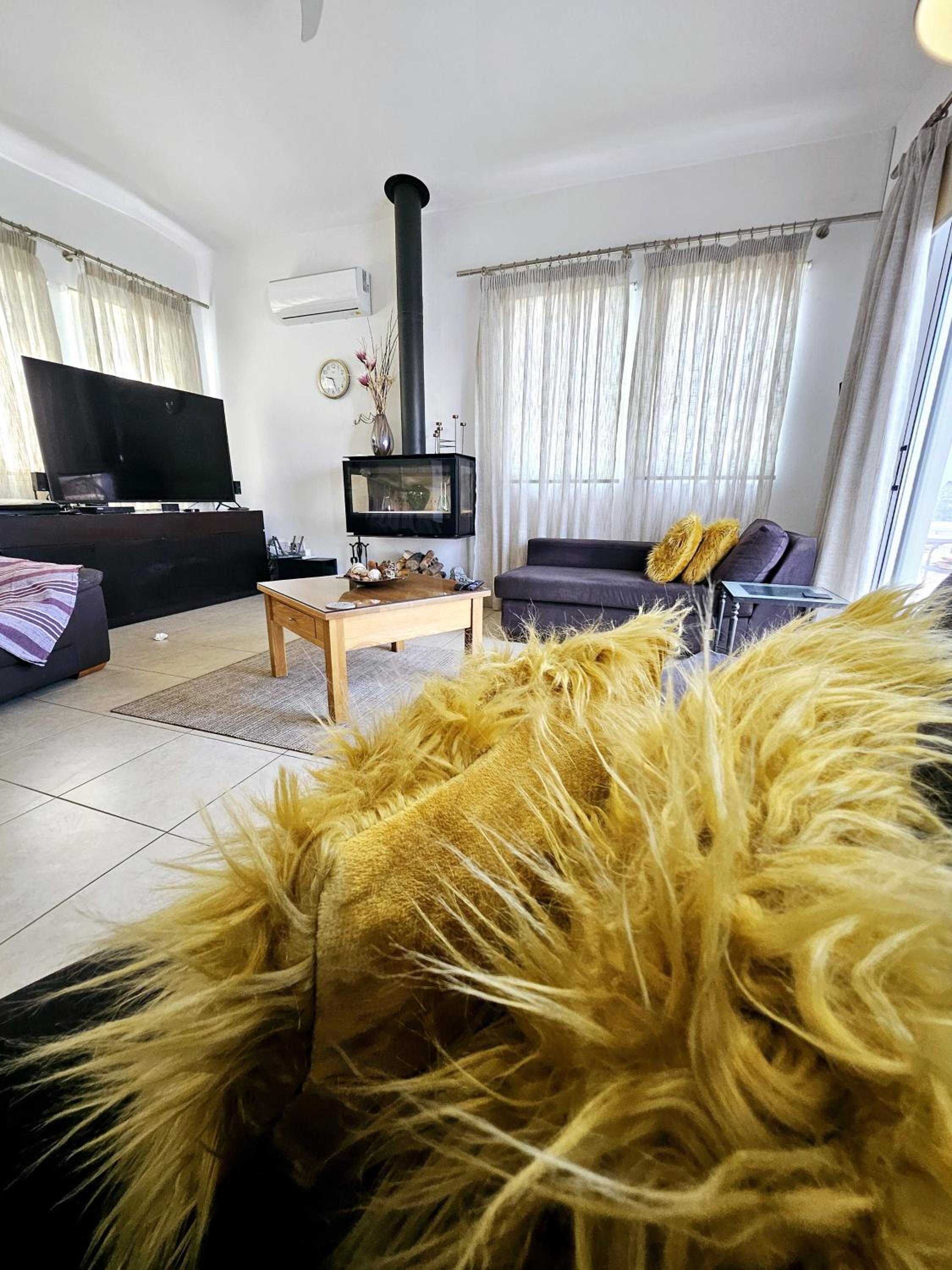 Villa Olivia