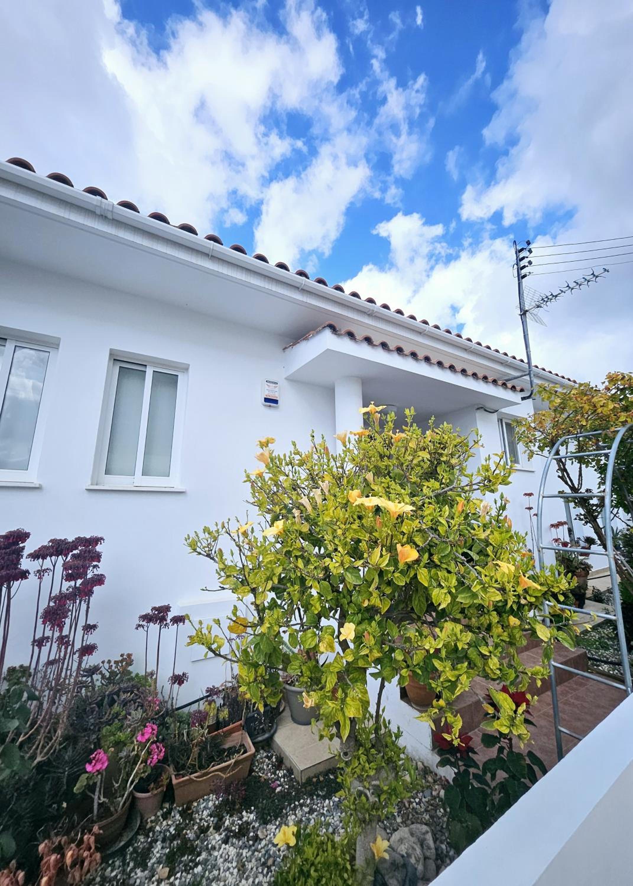 Villa Olivia