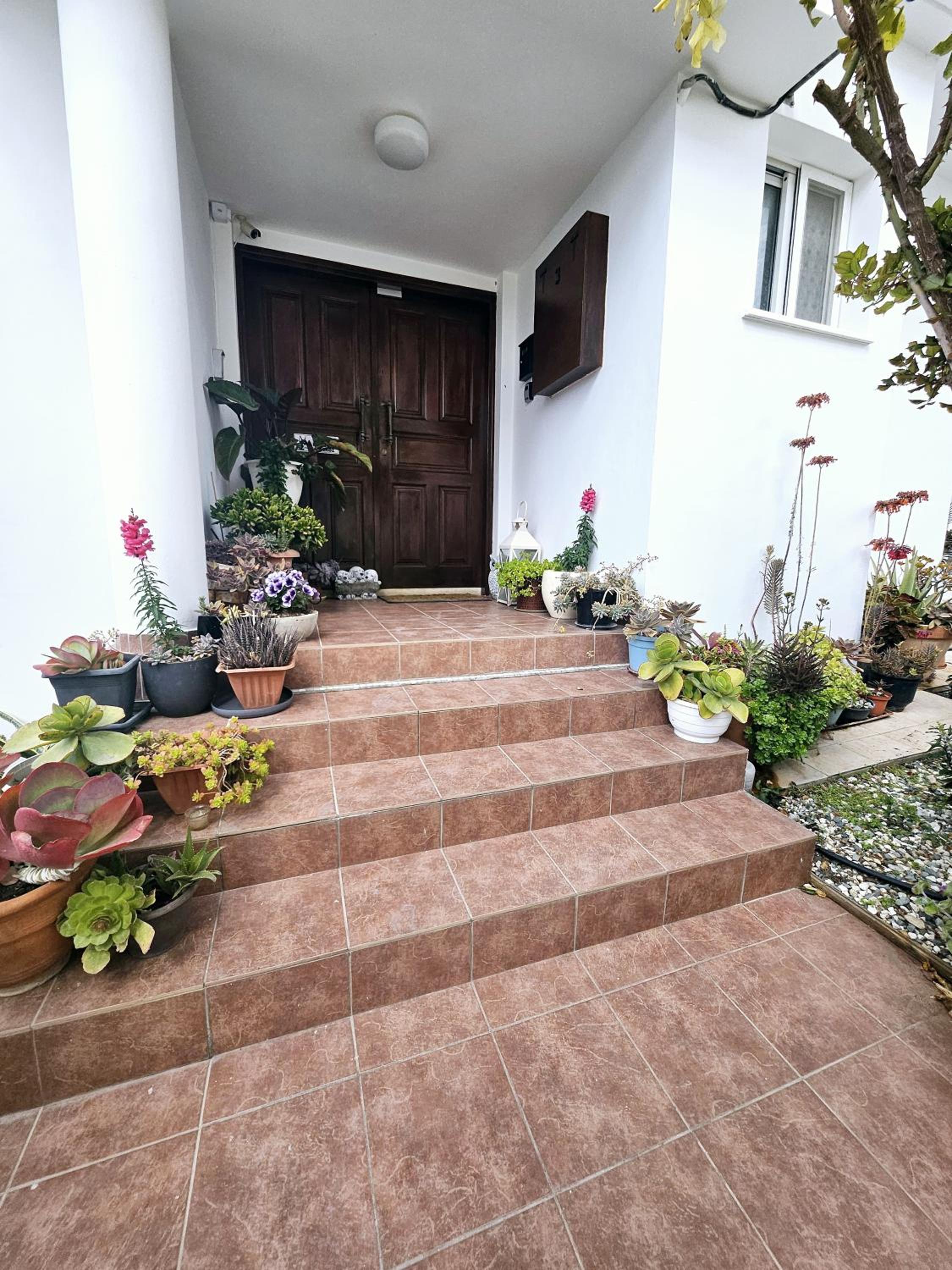 Villa Olivia